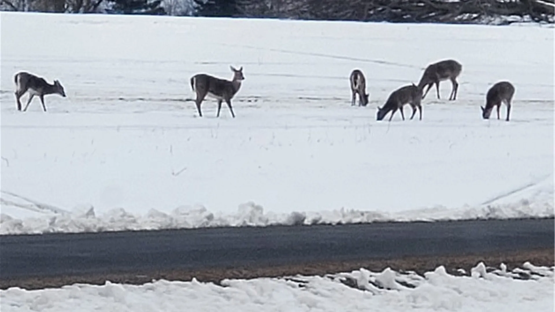 Property at Hogback Road, Butler, NY 13143 17