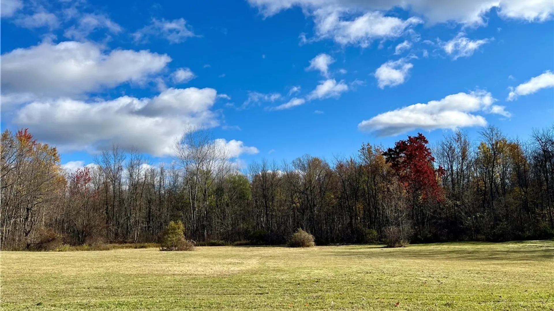 Property at Hogback Road, Butler, NY 13143 2