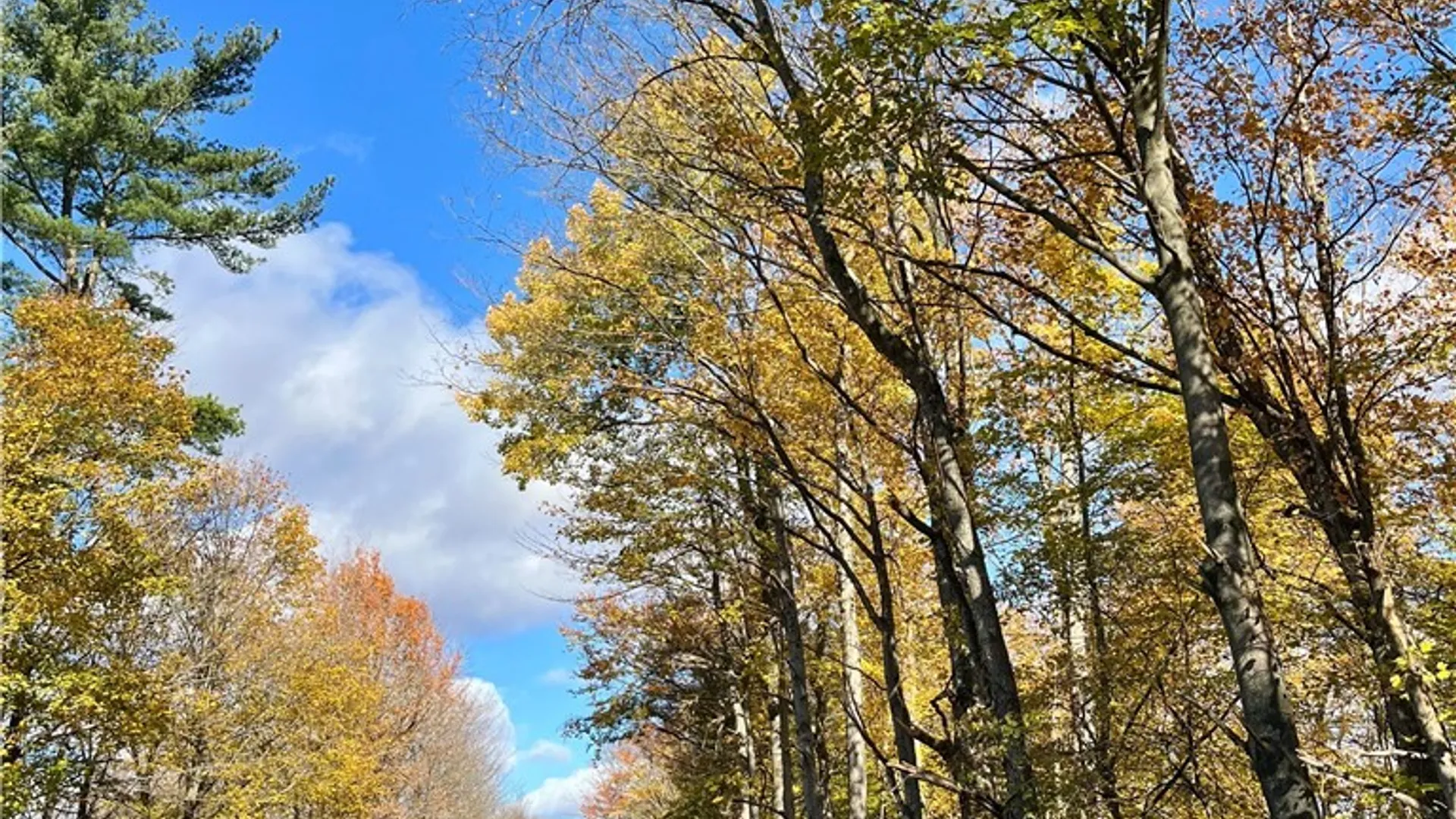 Property at Hogback Road, Butler, NY 13143 6