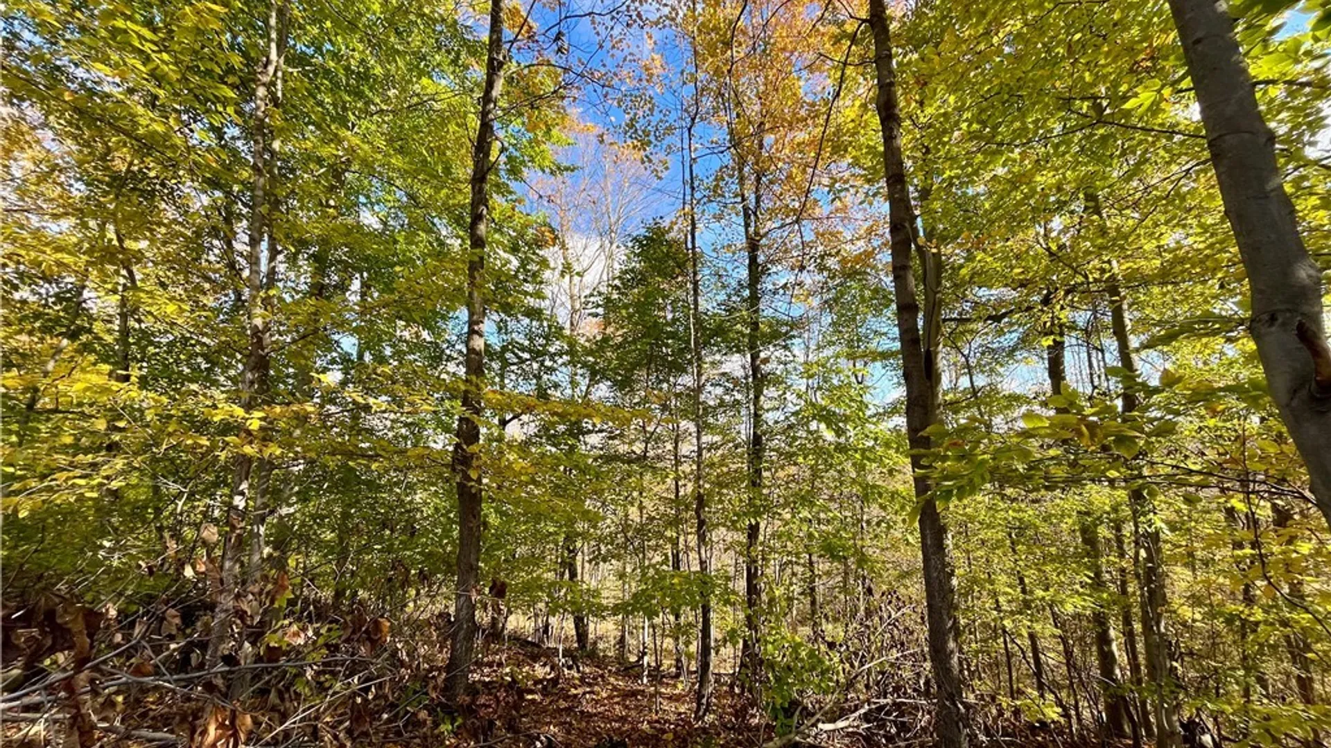 Property at Hogback Road, Butler, NY 13143 7