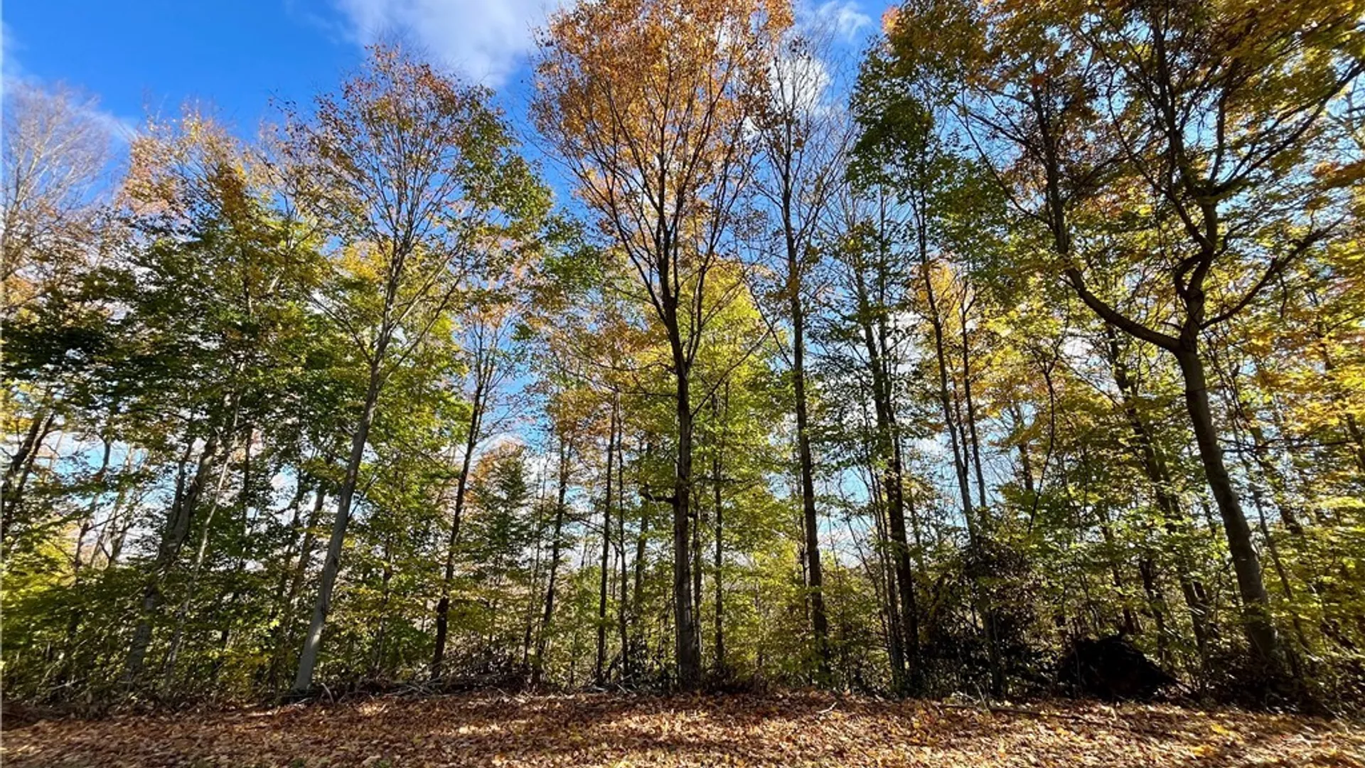 Property at Hogback Road, Butler, NY 13143 8