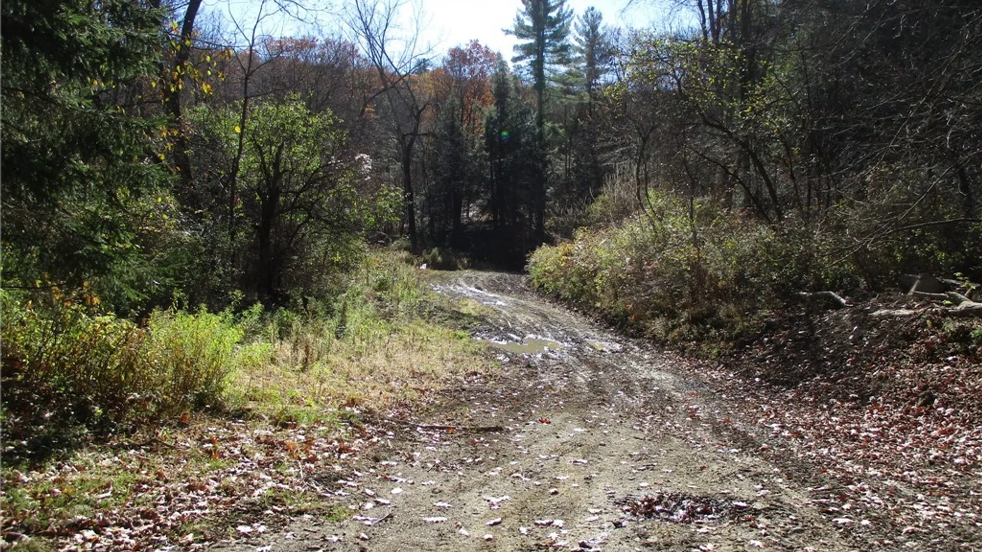 Property at Gordon Brook, Scio, NY 14880 11