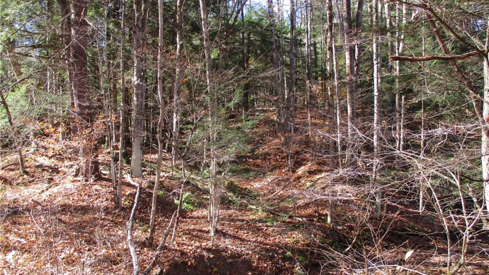 Property at Gordon Brook, Scio, NY 14880 17
