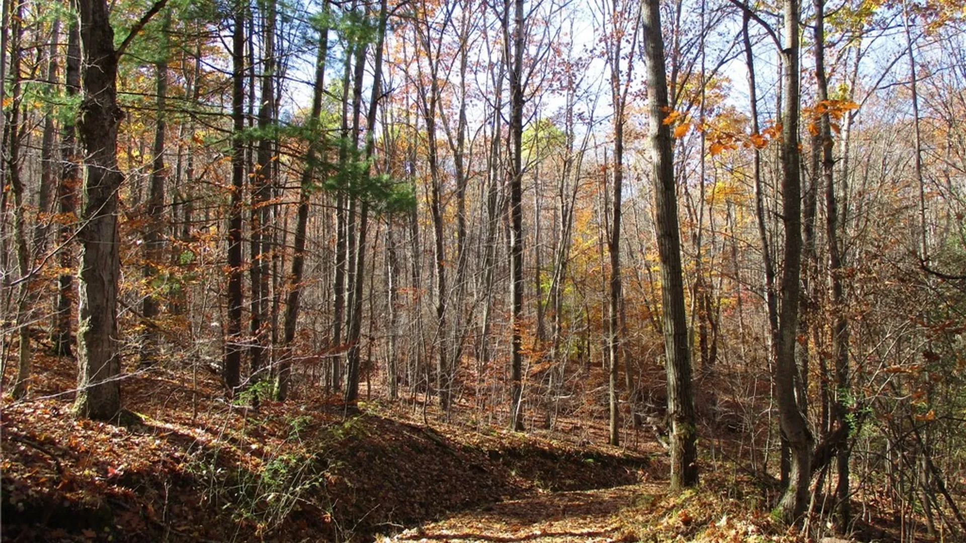 Property at Gordon Brook, Scio, NY 14880 2