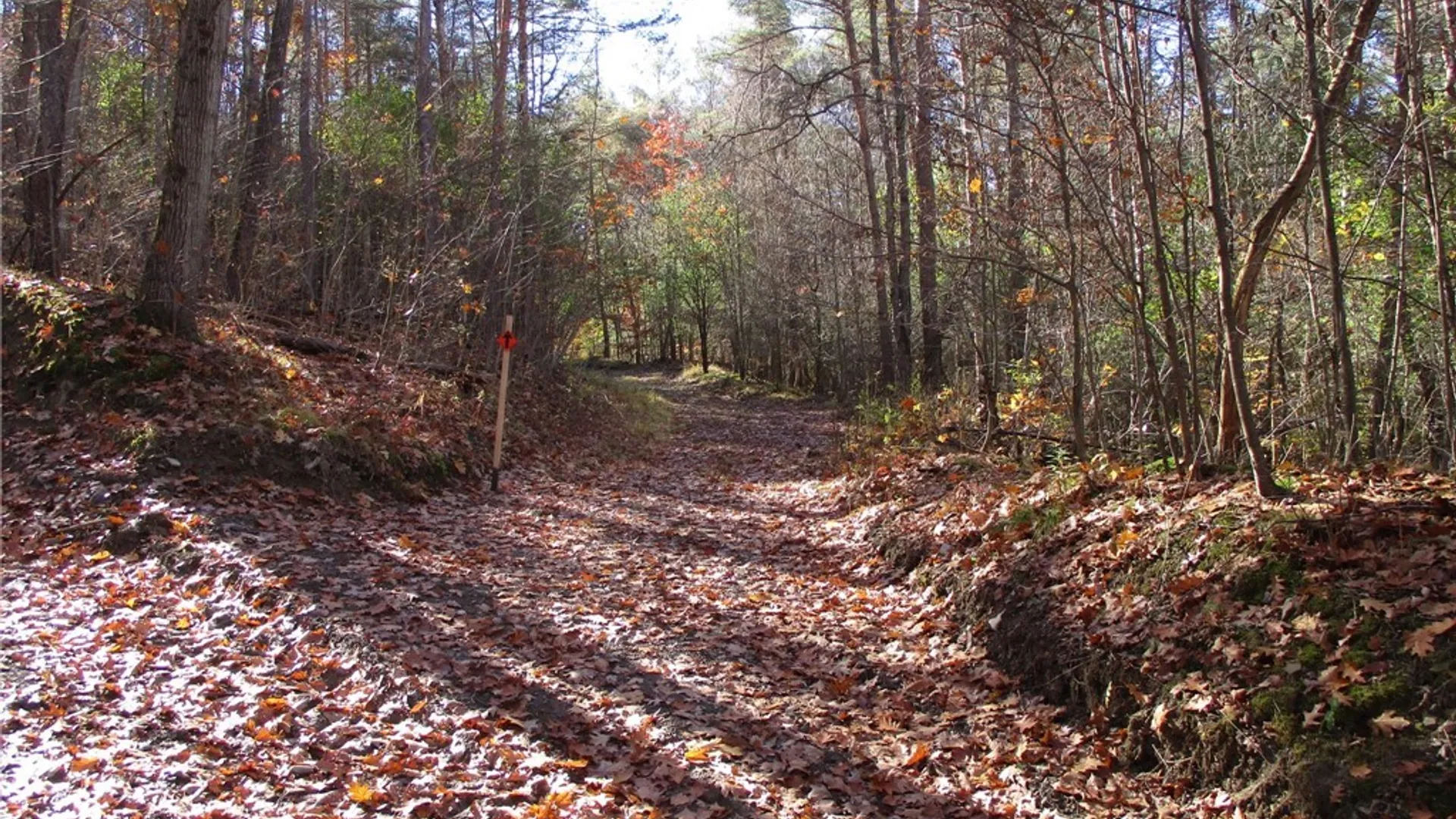 Property at Gordon Brook, Scio, NY 14880 9