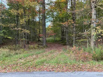 Property at Voorhees Road, Parish, NY 13131