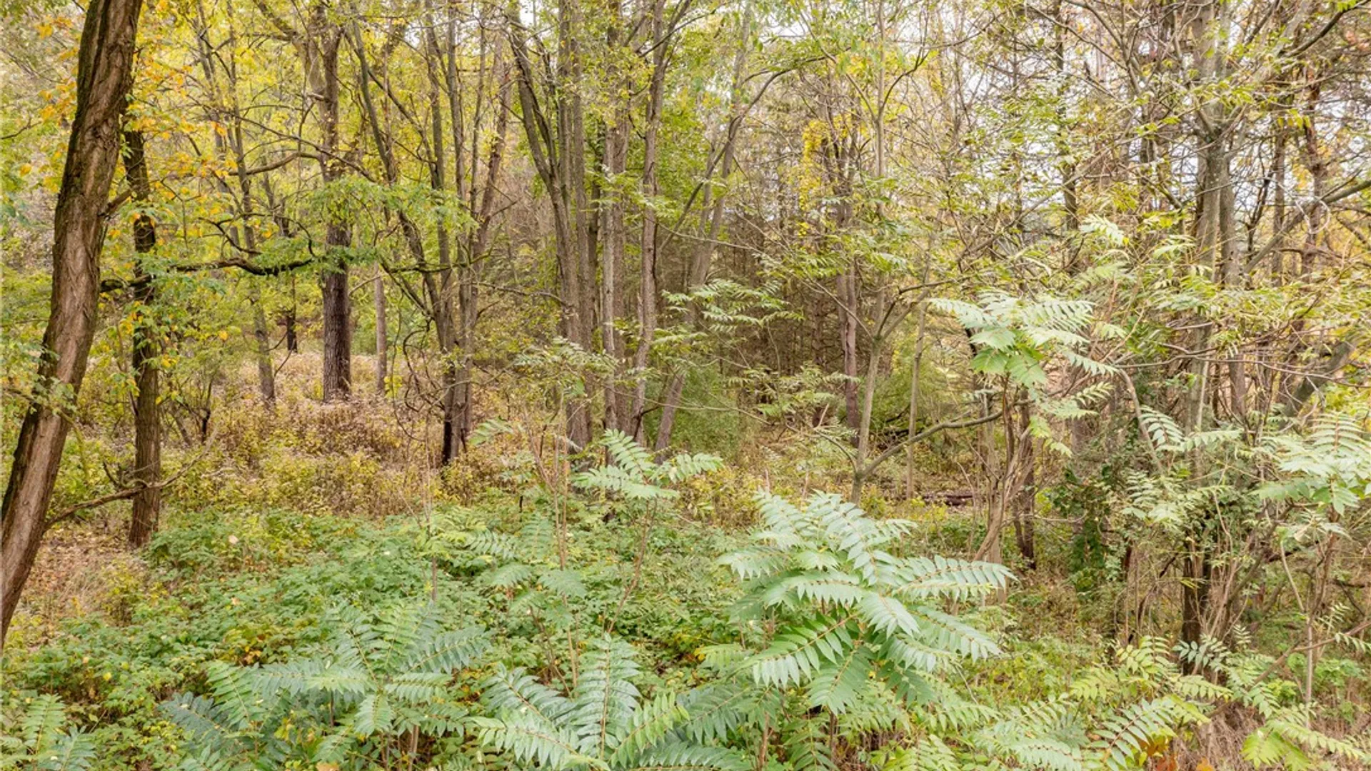 Property at 3 Surrey Hill Lane, Mendon, NY 14534 2