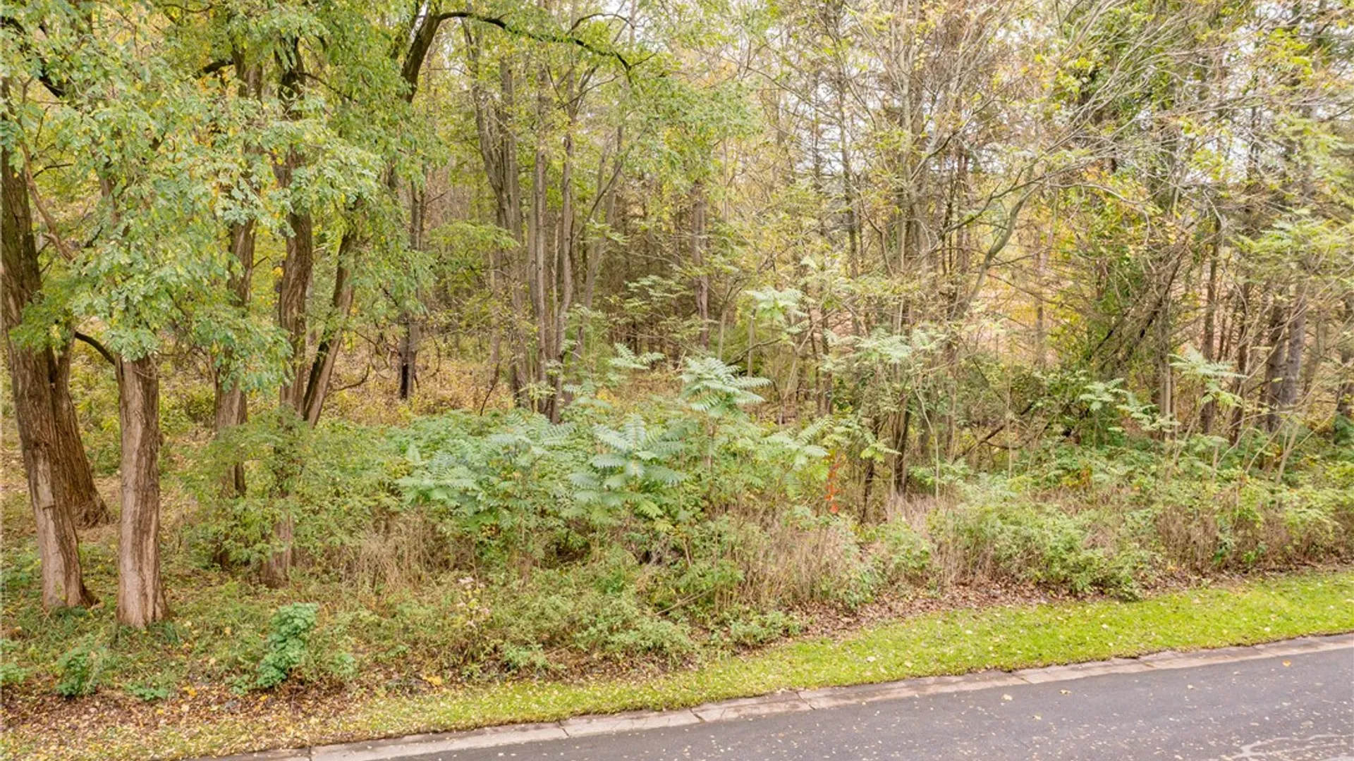 Property at 3 Surrey Hill Lane, Mendon, NY 14534 3