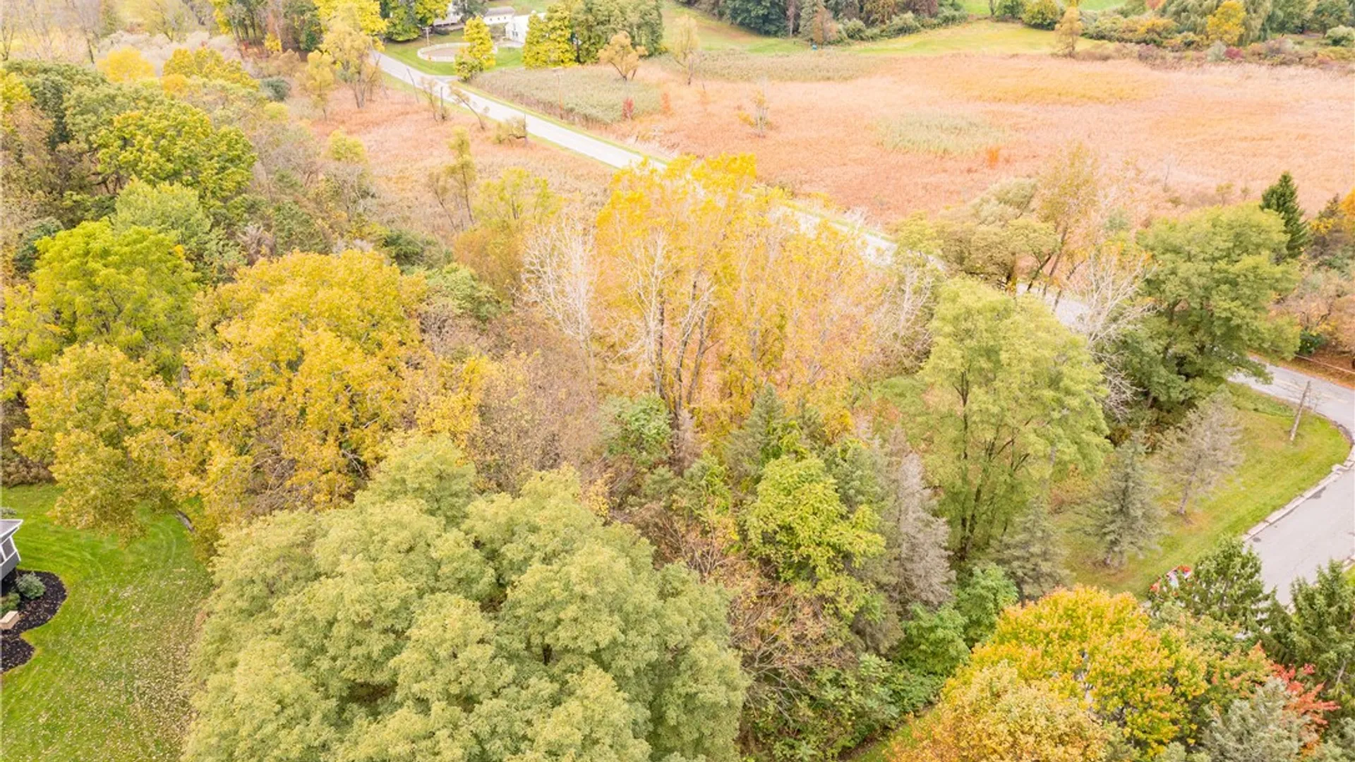 Property at 3 Surrey Hill Lane, Mendon, NY 14534 8