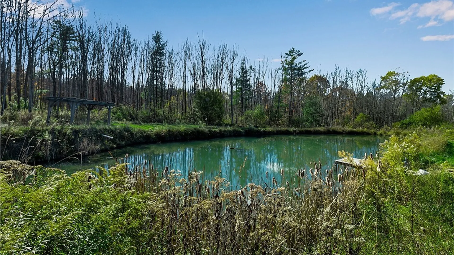 Property at 9069 Hill Road, Allen, NY 14735 37