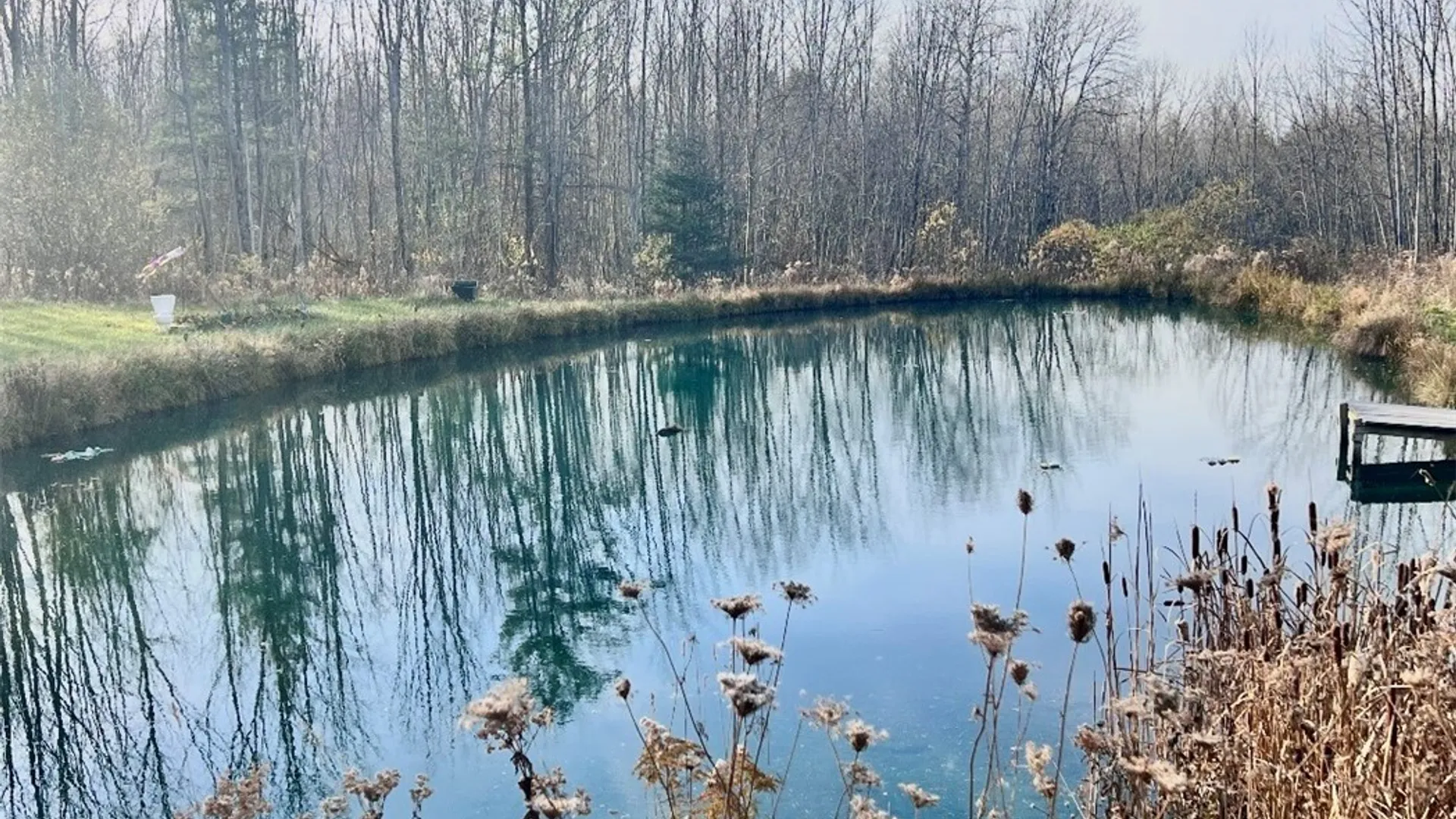 Property at 9069 Hill Road, Allen, NY 14735 44