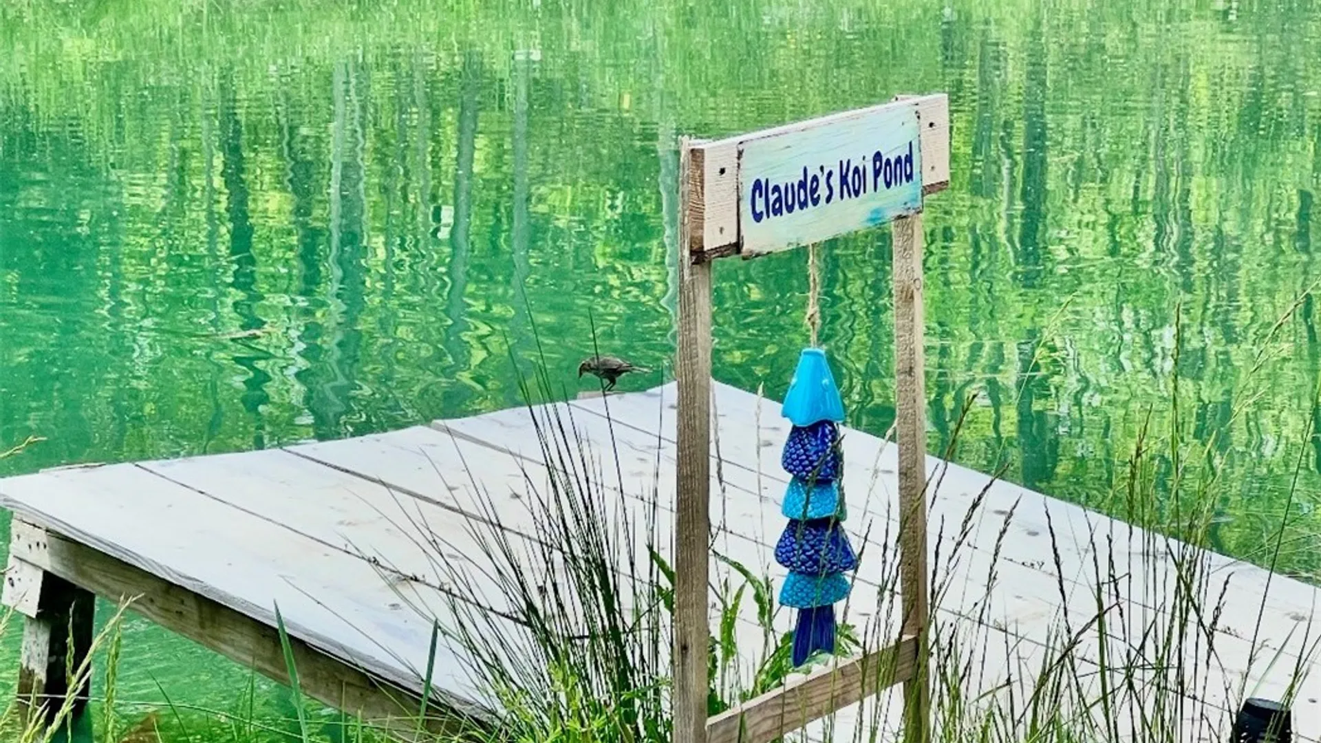 Property at 9069 Hill Road, Allen, NY 14735 45