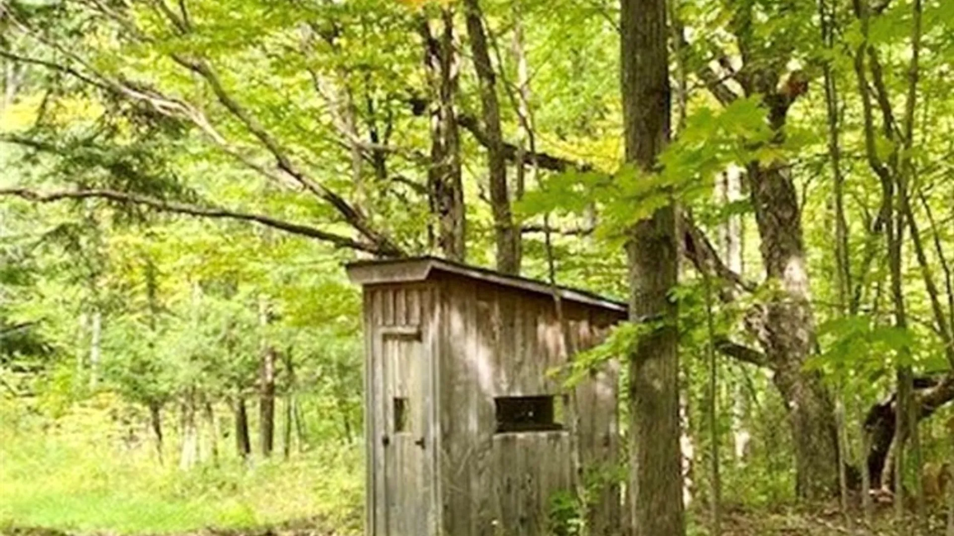 Property at 9069 Hill Road, Allen, NY 14735 49