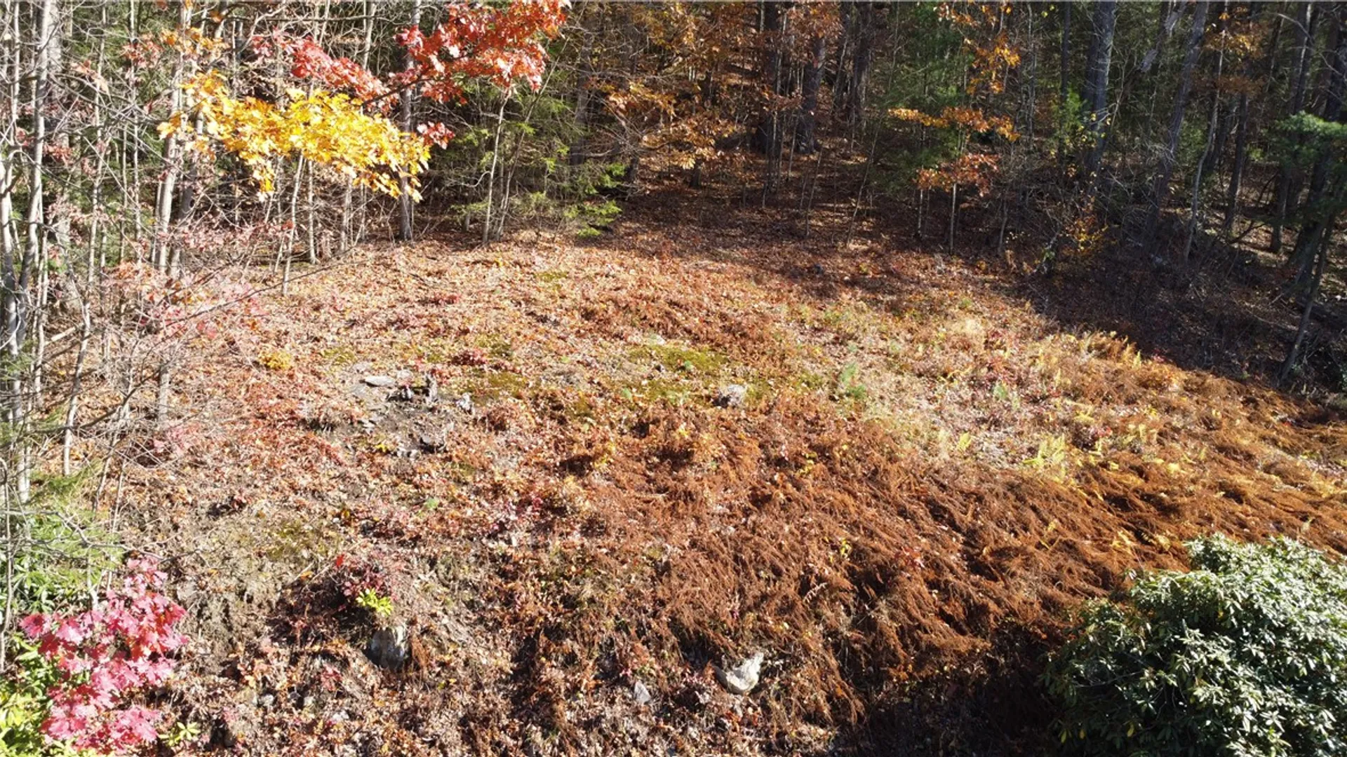 Property at 84 Peas Eddy Road, Hancock, NY 13783 4