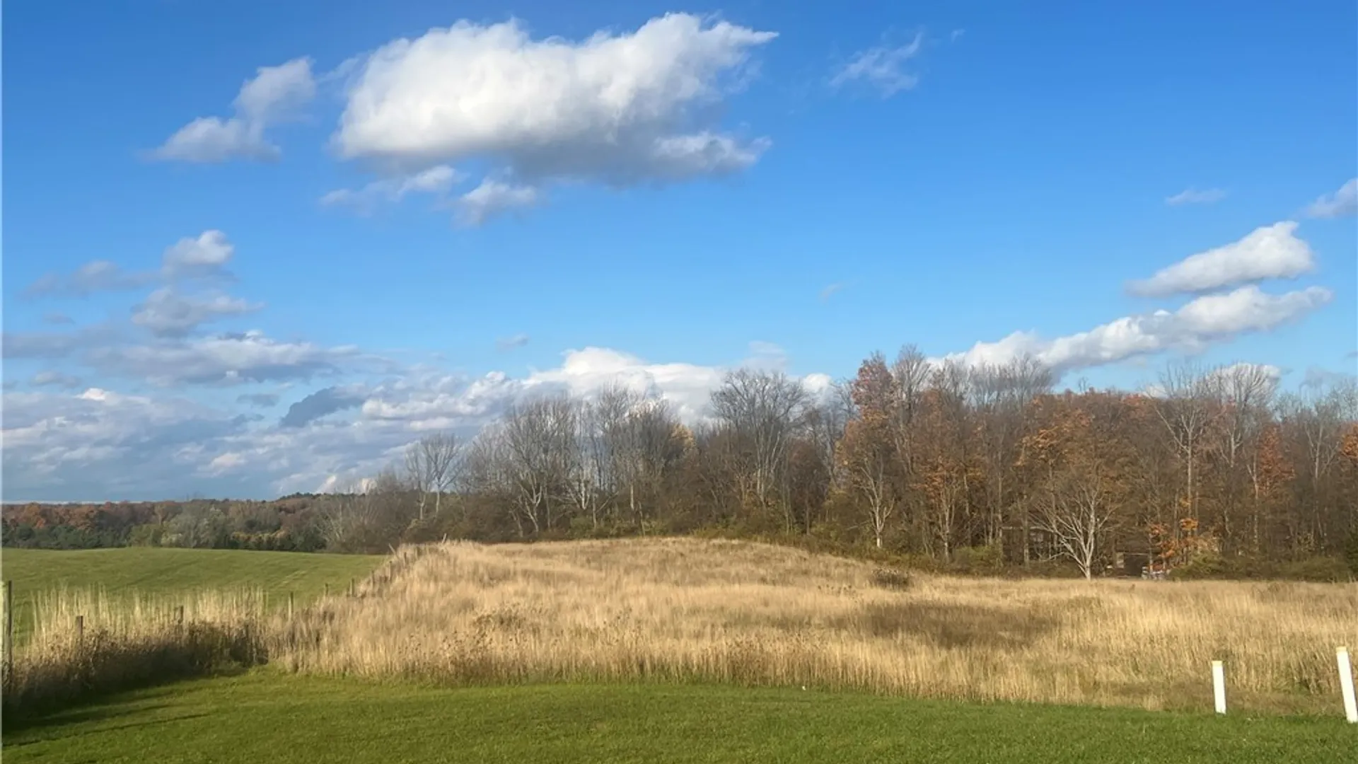 Property at 4560 Scrabble Hill Road, Collins, NY 14034 2