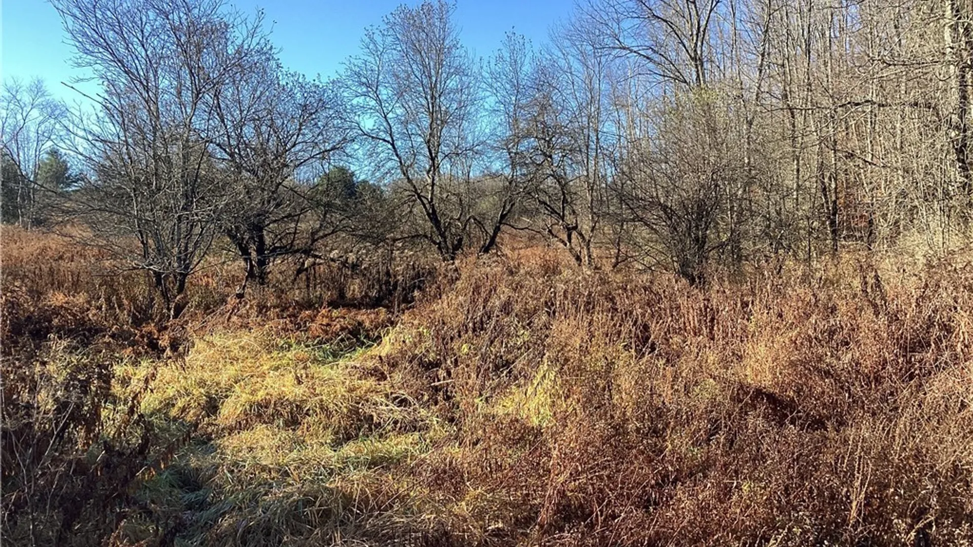 Property at 00 Blue, Deerfield, NY 13304 5