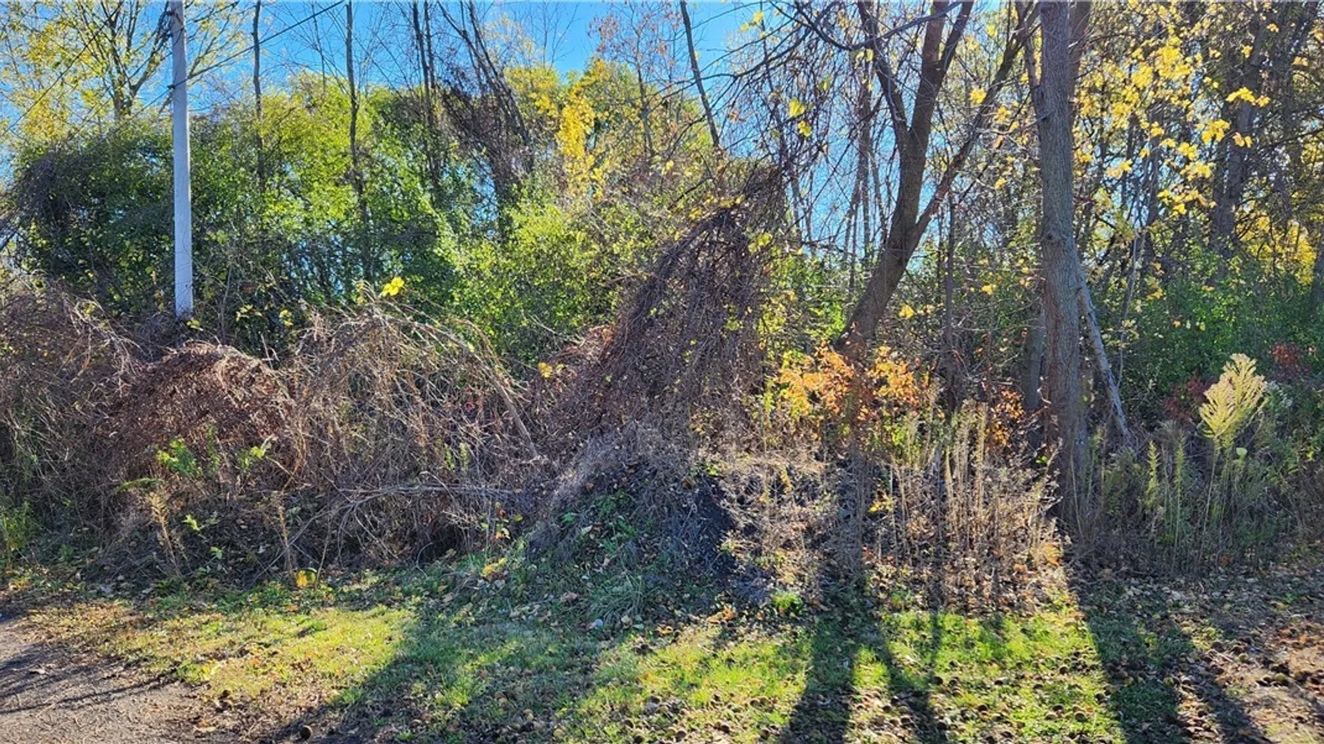 Property at 5613 Baker Avenue, Niagara Falls, NY 14304 3