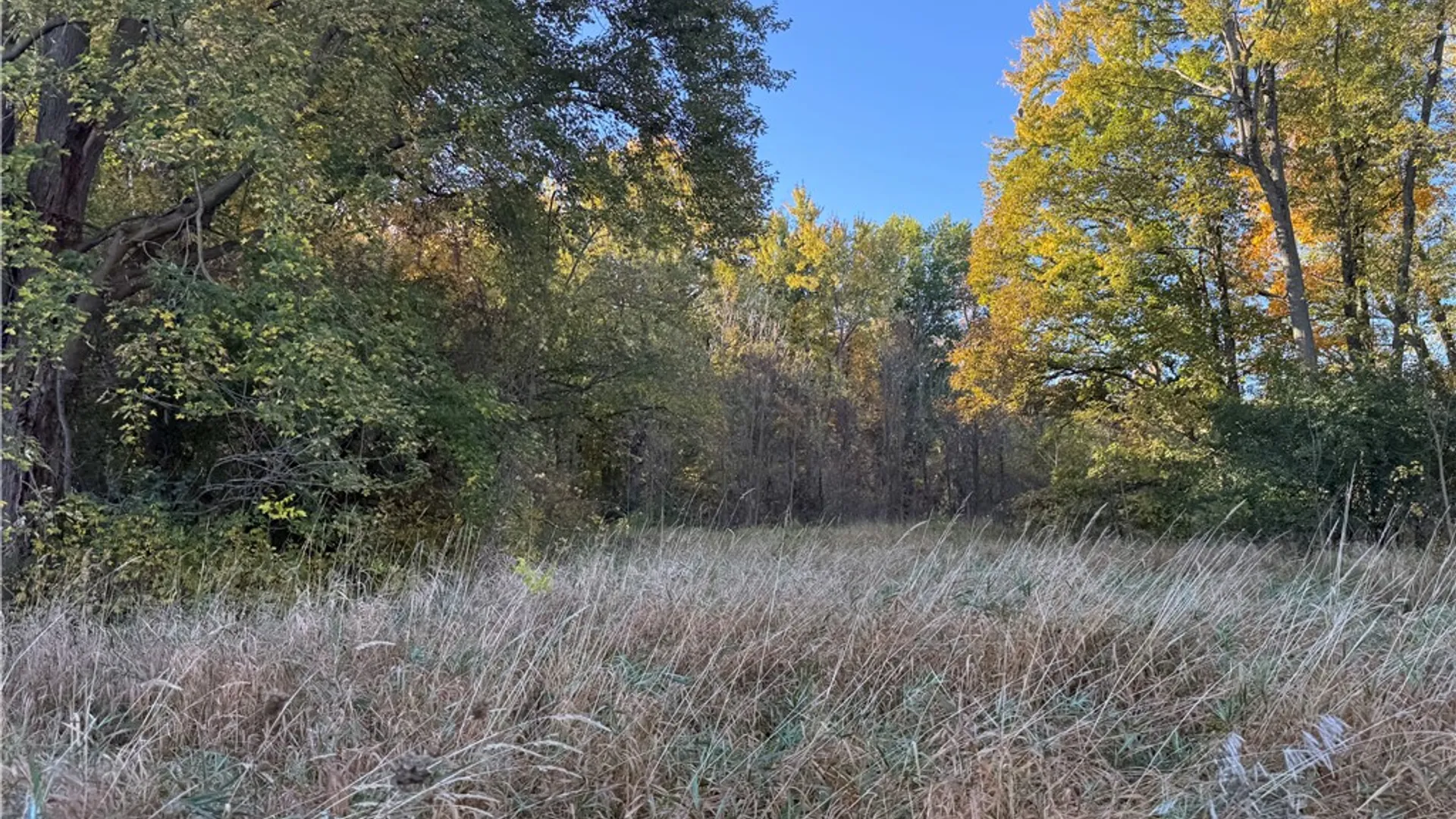 Property at 150 Coates Road, Chili, NY 14546 11