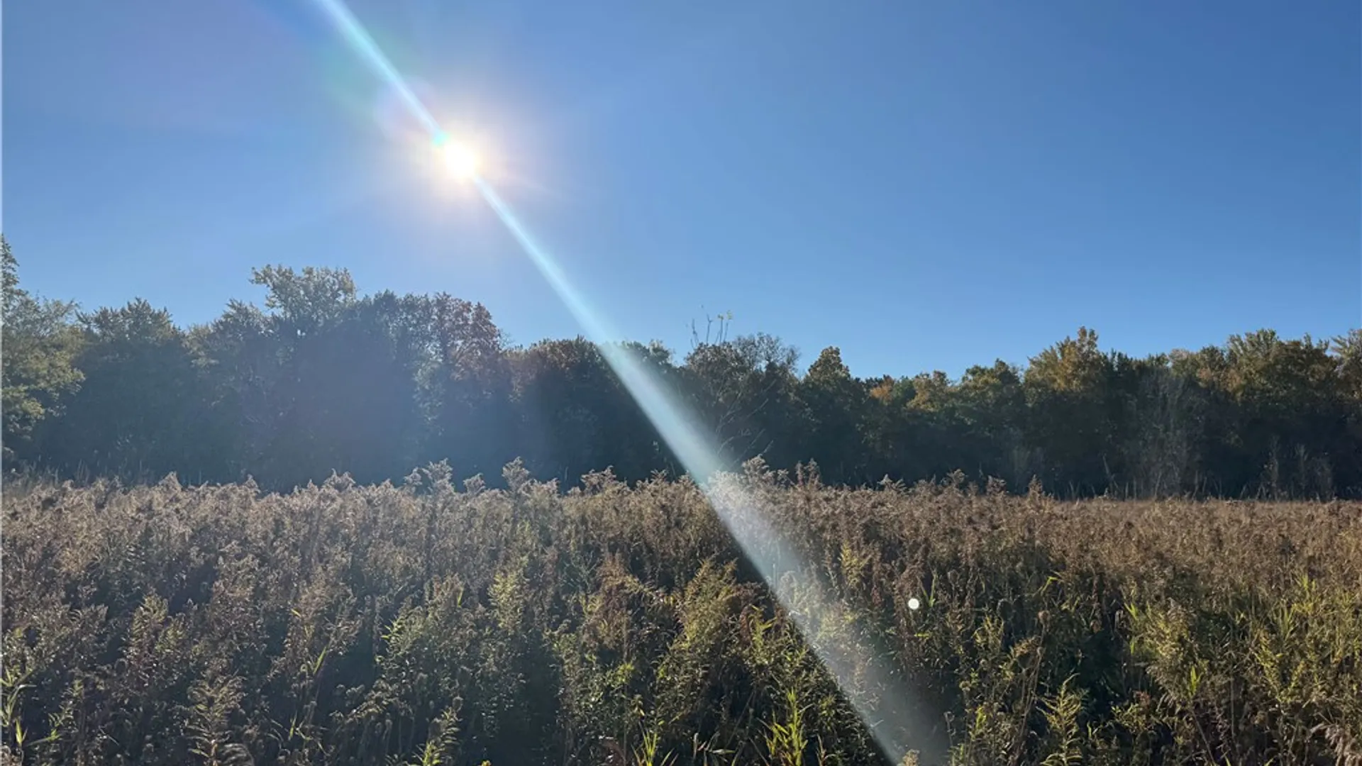 Property at 150 Coates Road, Chili, NY 14546 13