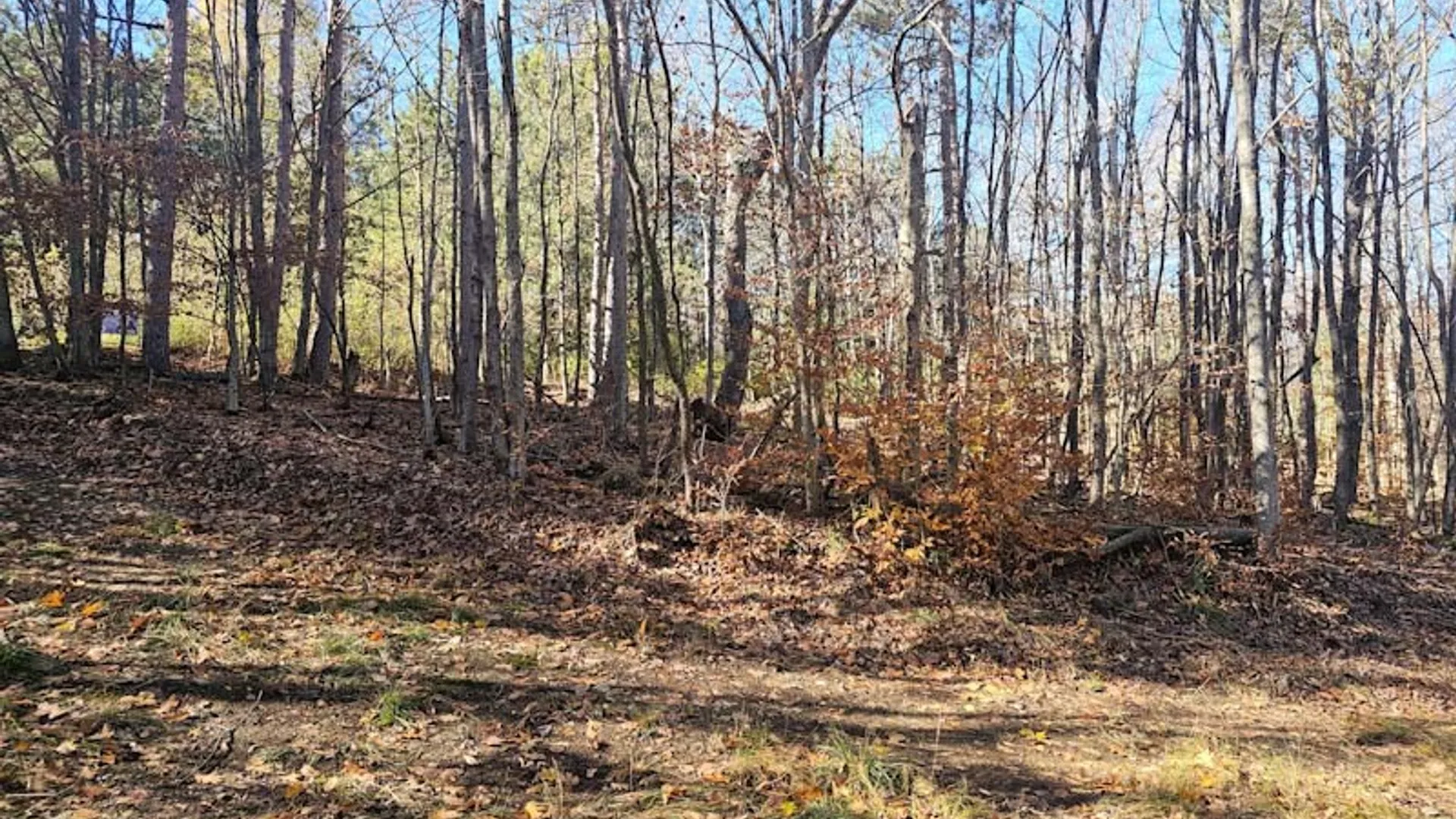 Property at 0 Thunder Mountain, Springwater, NY 14560 11