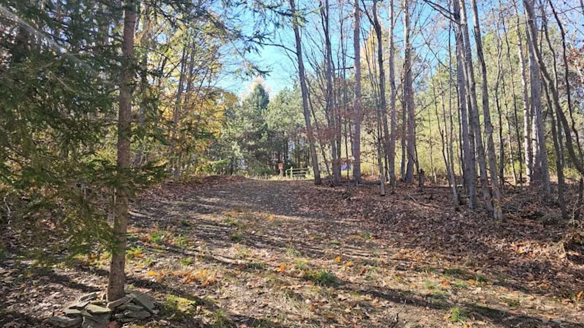 Property at 0 Thunder Mountain, Springwater, NY 14560 12