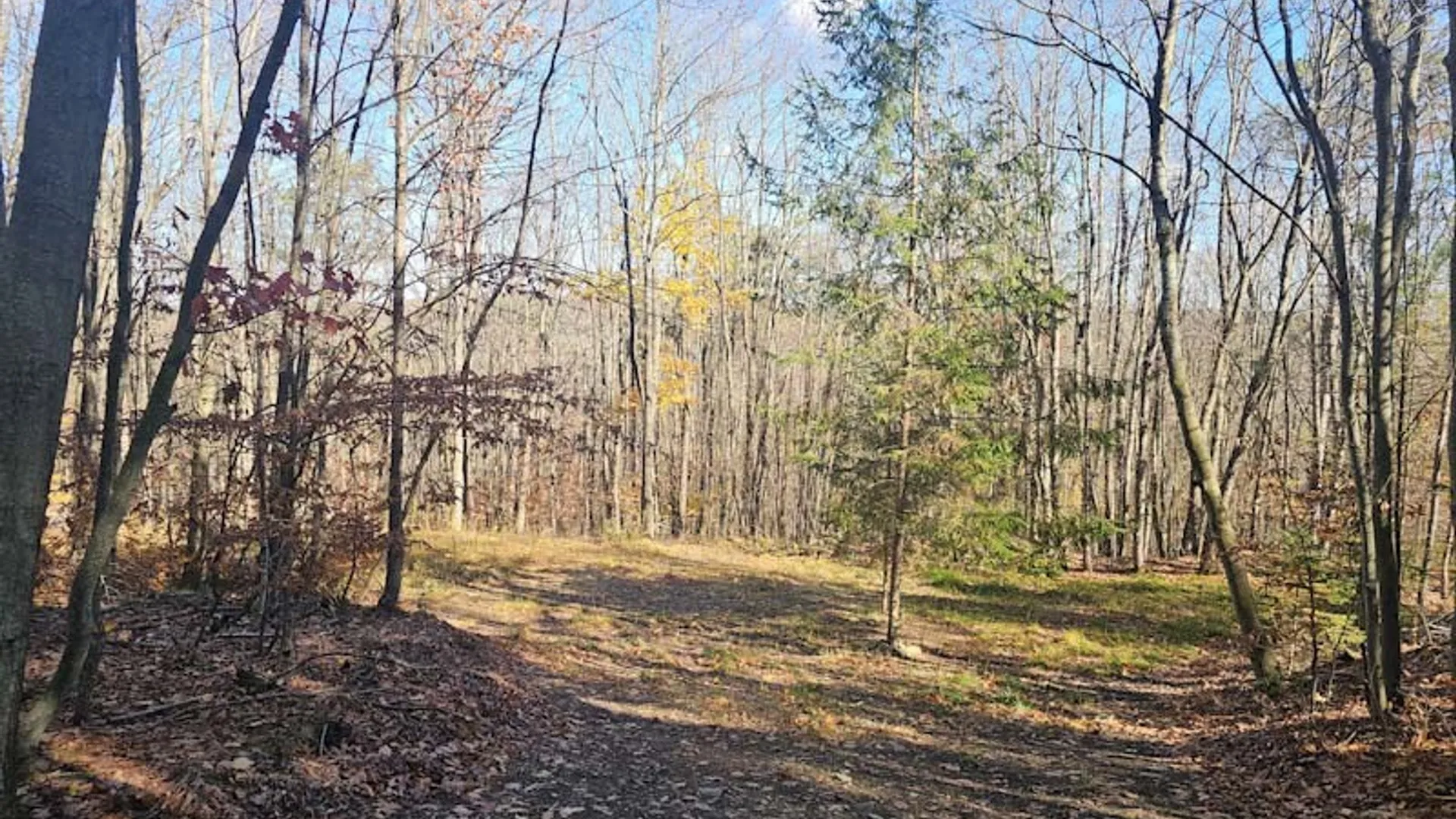 Property at 0 Thunder Mountain, Springwater, NY 14560 13