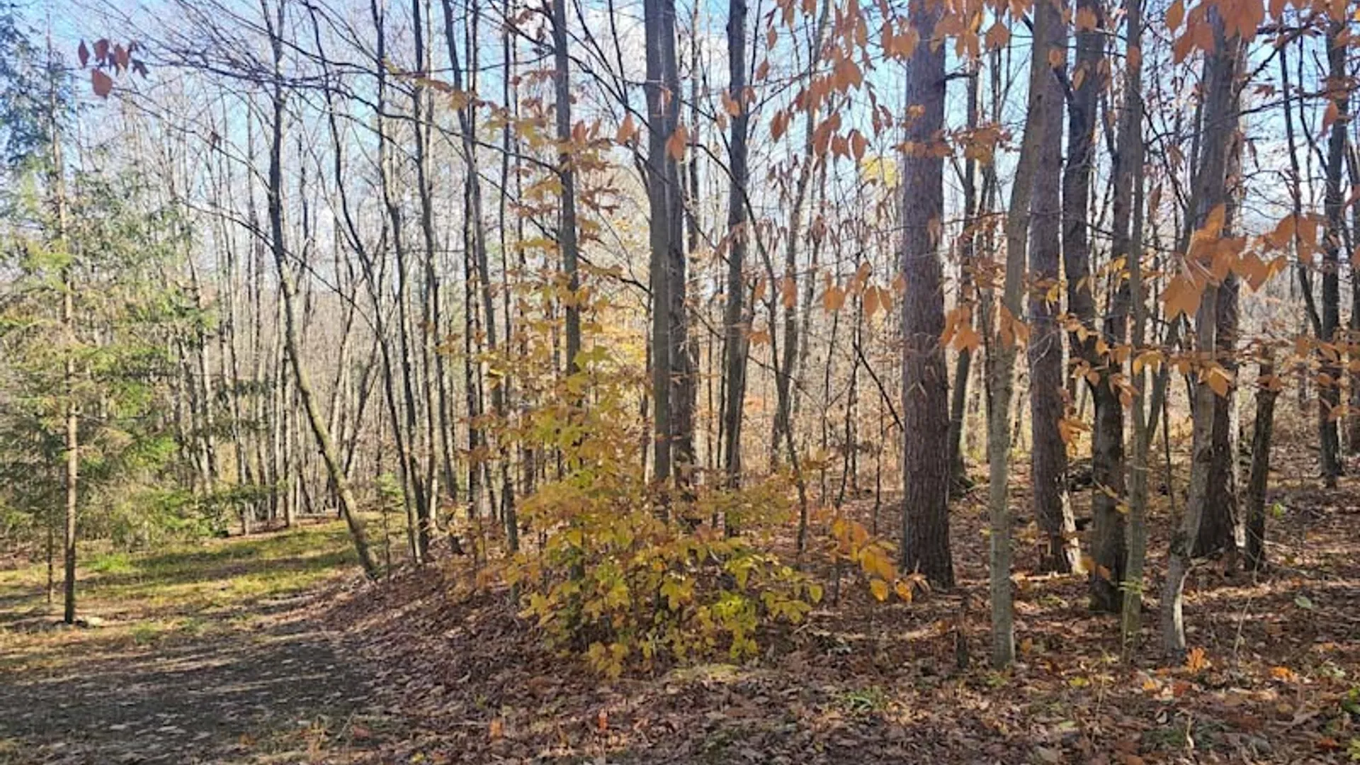 Property at 0 Thunder Mountain, Springwater, NY 14560 14