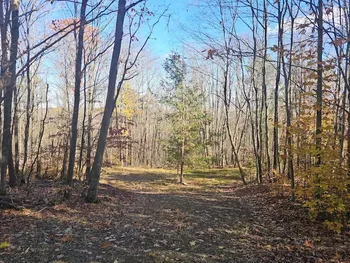 Property at 0 Thunder Mountain, Springwater, NY 14560