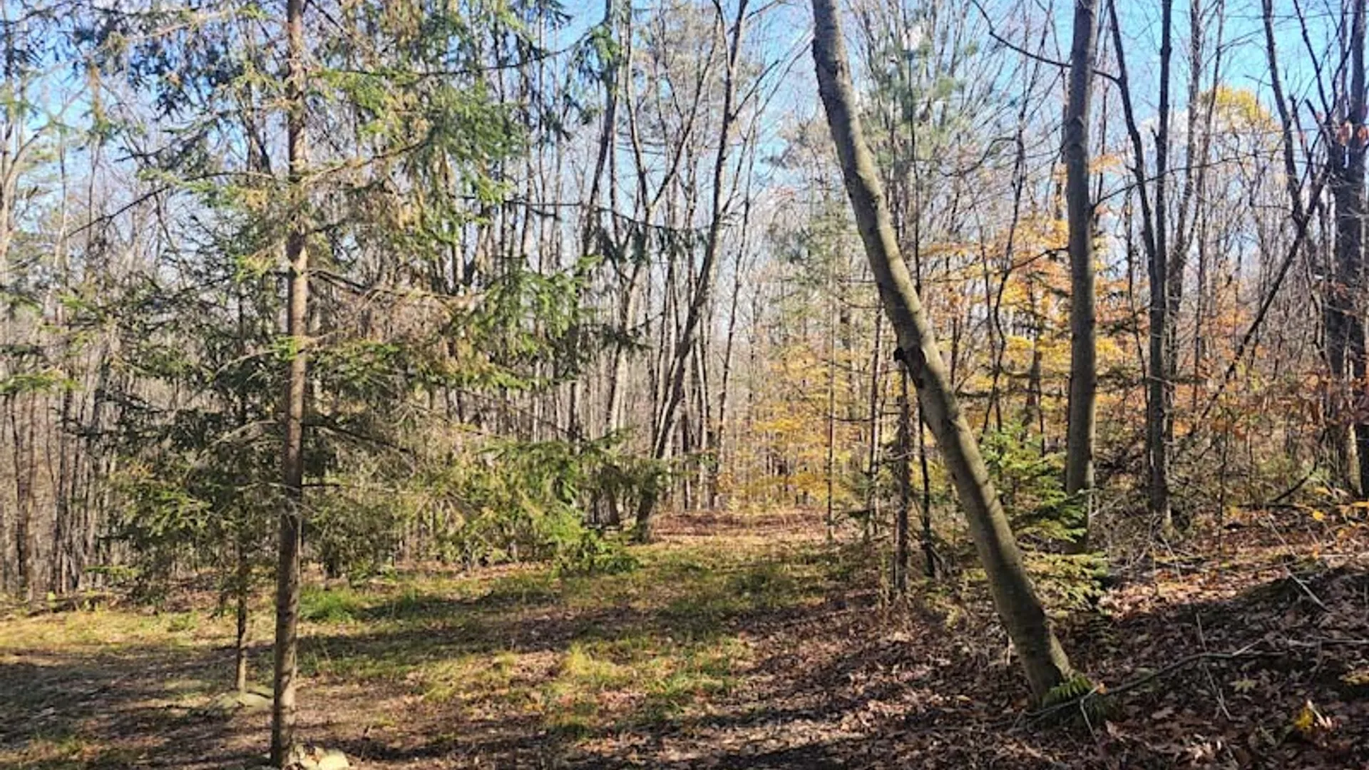 Property at 0 Thunder Mountain, Springwater, NY 14560 2