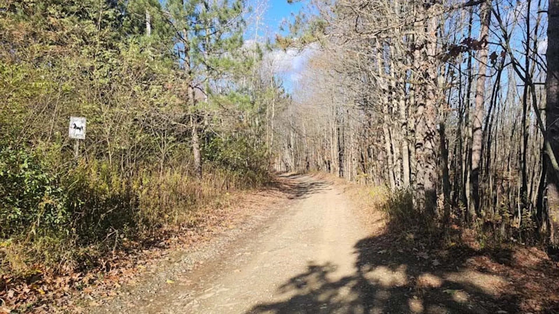Property at 0 Thunder Mountain, Springwater, NY 14560 3