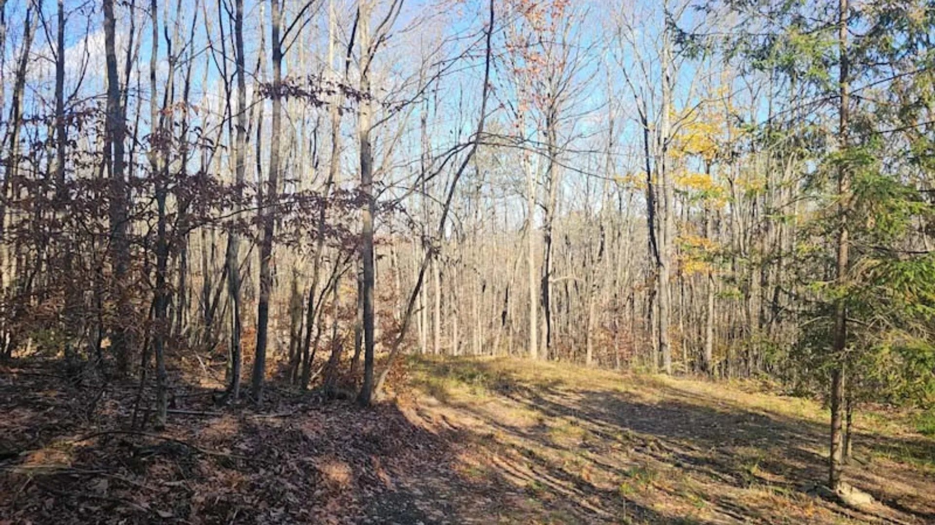 Property at 0 Thunder Mountain, Springwater, NY 14560 5