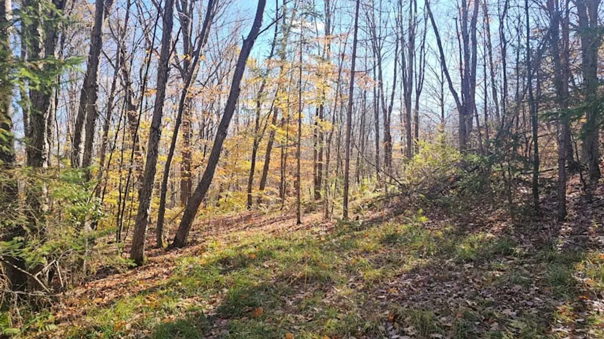 Property at 0 Thunder Mountain, Springwater, NY 14560 6