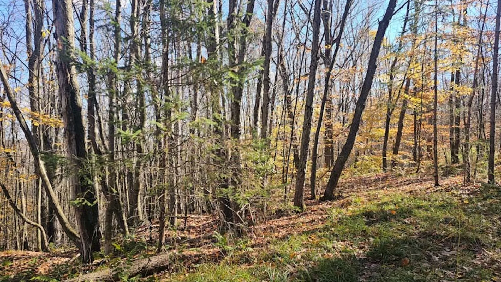 Property at 0 Thunder Mountain, Springwater, NY 14560 7