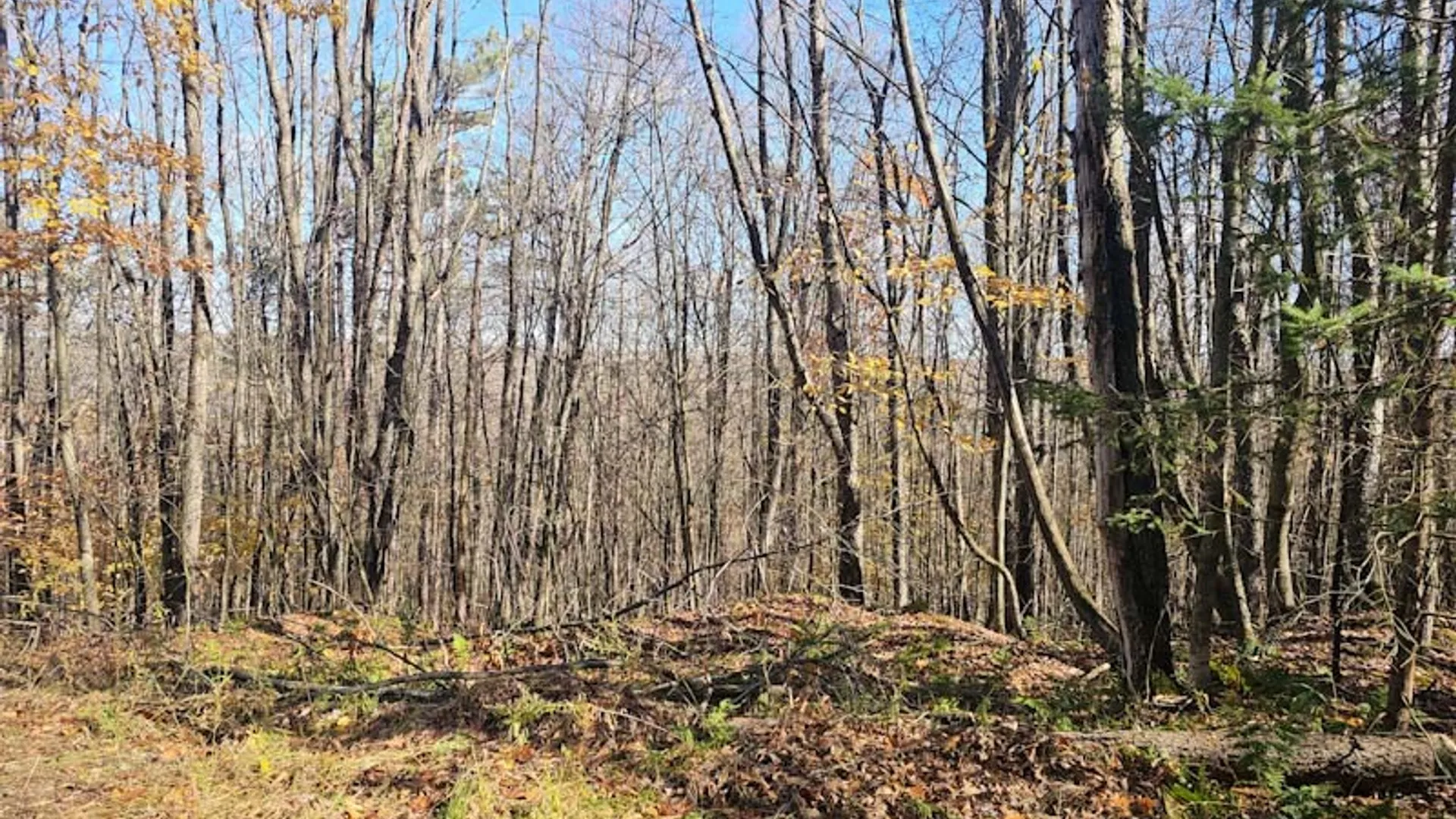 Property at 0 Thunder Mountain, Springwater, NY 14560 8