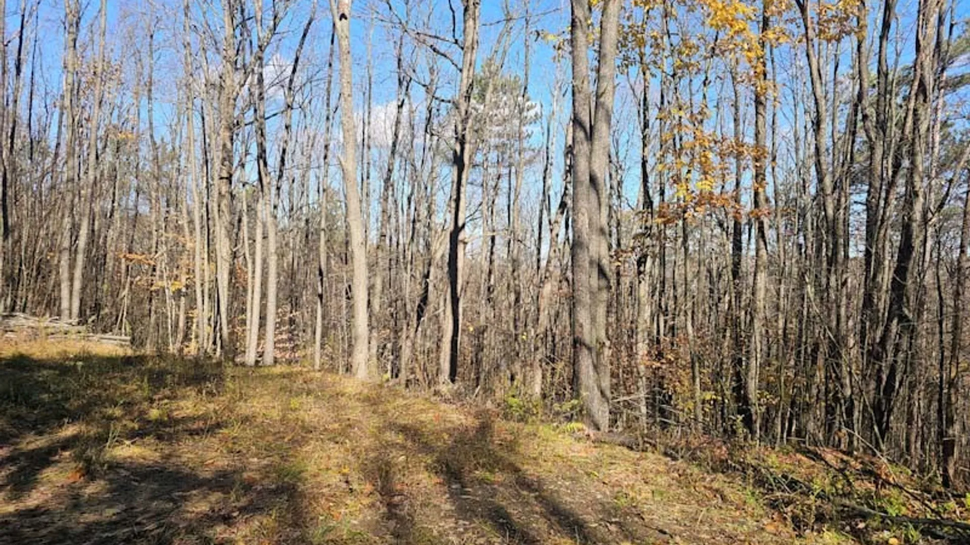 Property at 0 Thunder Mountain, Springwater, NY 14560 9