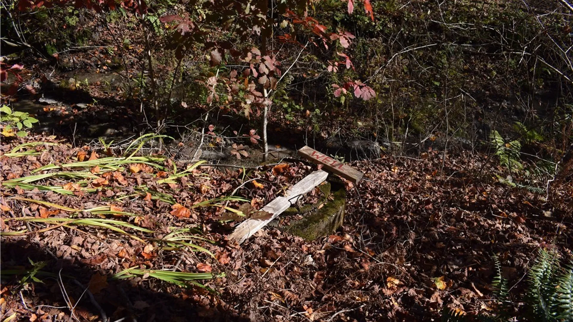 Property at 3157 Ball Road Gulf, Arkwright, NY 14063 21