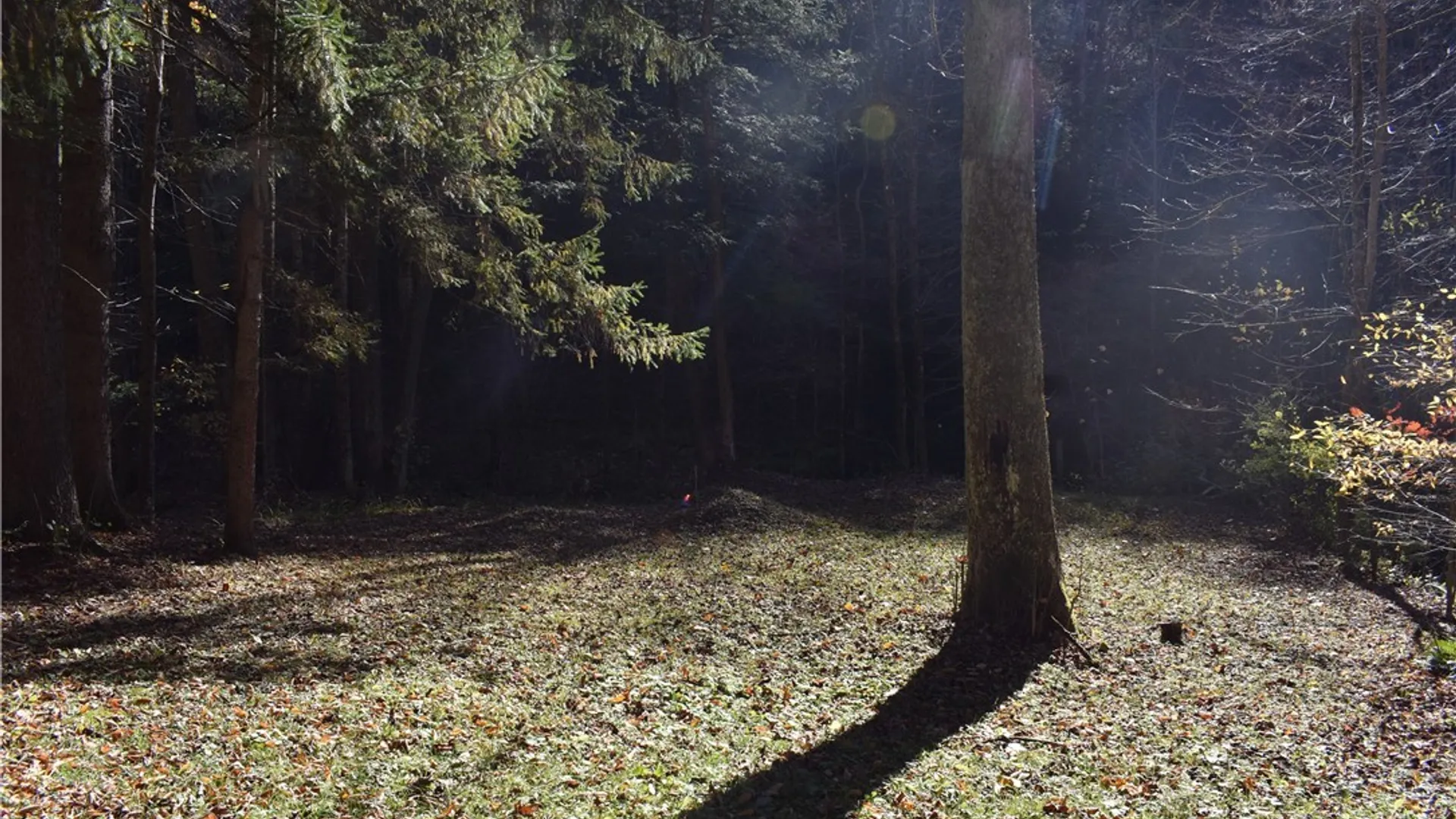 Property at 3157 Ball Road Gulf, Arkwright, NY 14063 22