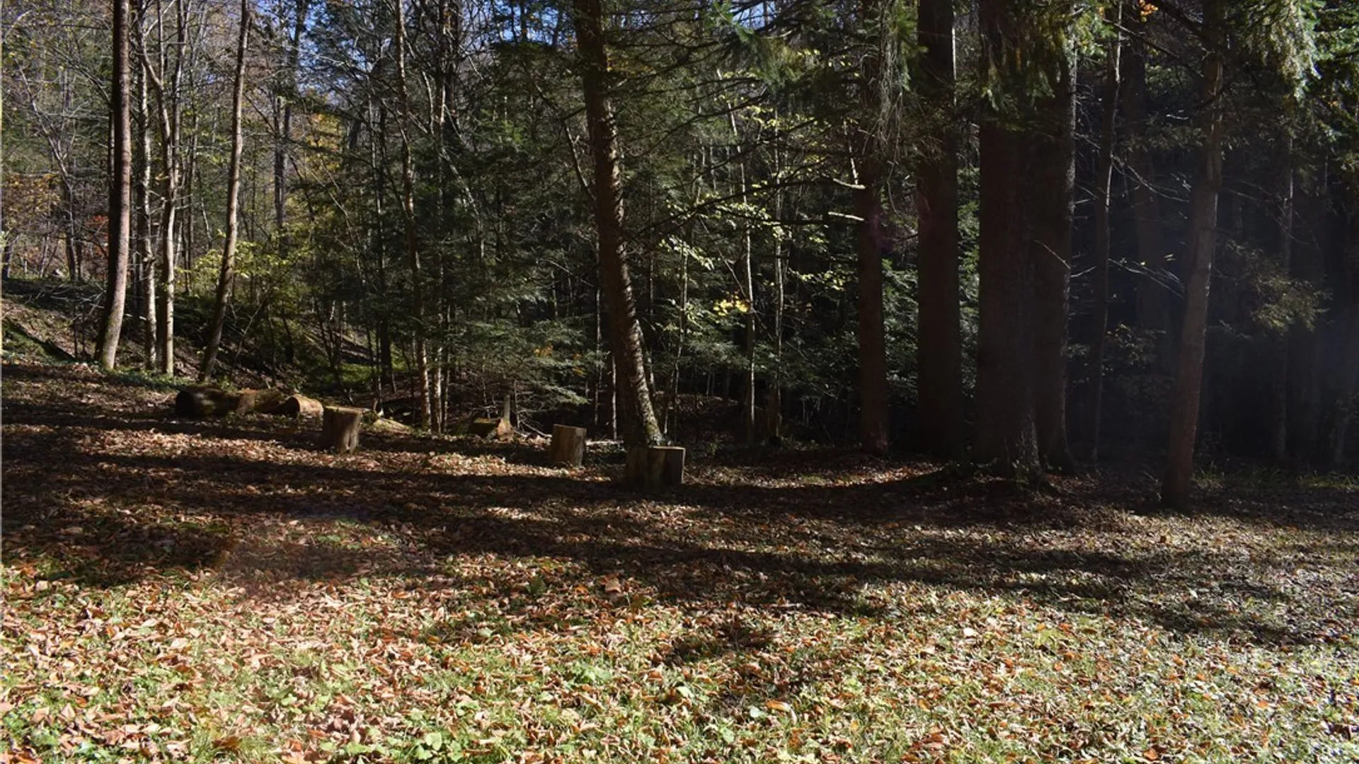 Property at 3157 Ball Road Gulf, Arkwright, NY 14063 23