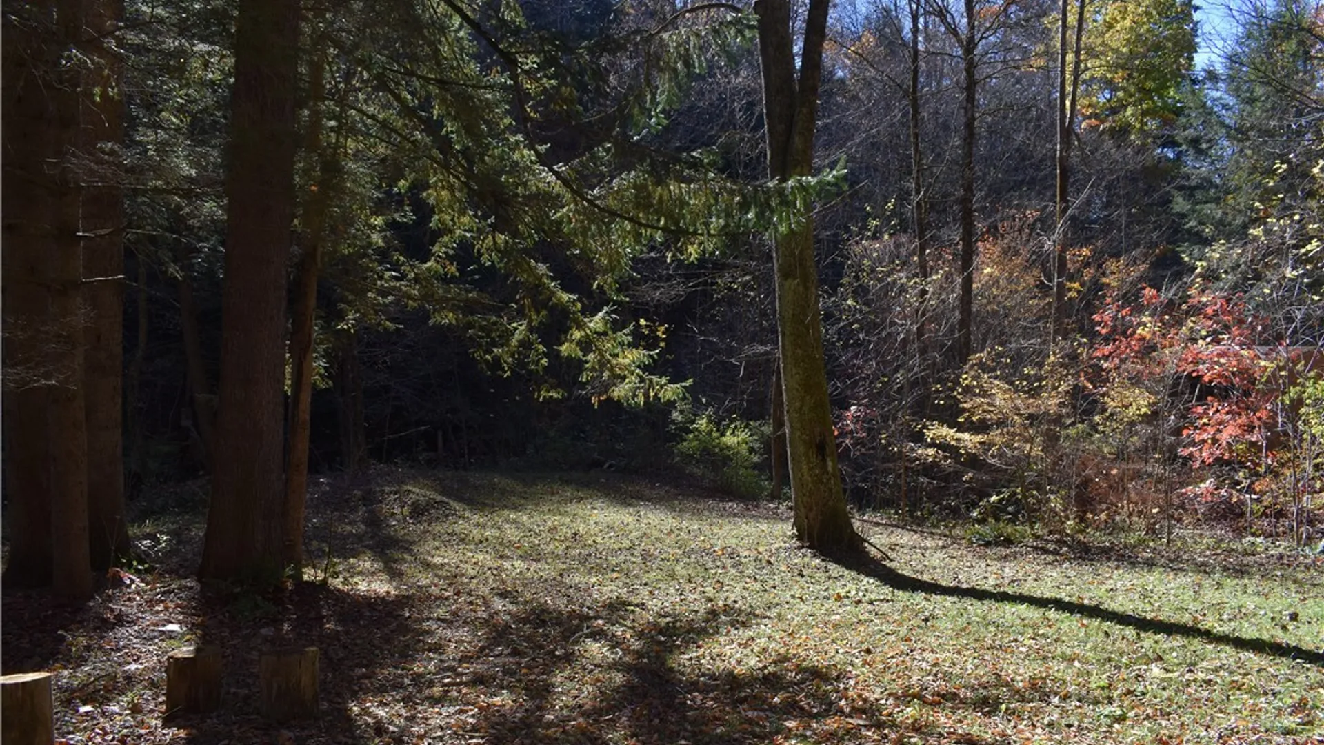 Property at 3157 Ball Road Gulf, Arkwright, NY 14063 24