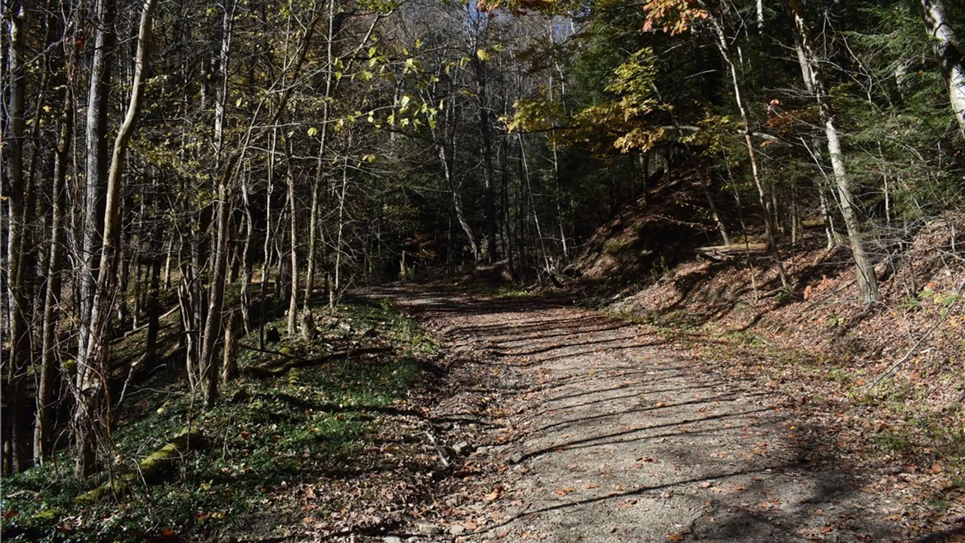 Property at 3157 Ball Road Gulf, Arkwright, NY 14063 27