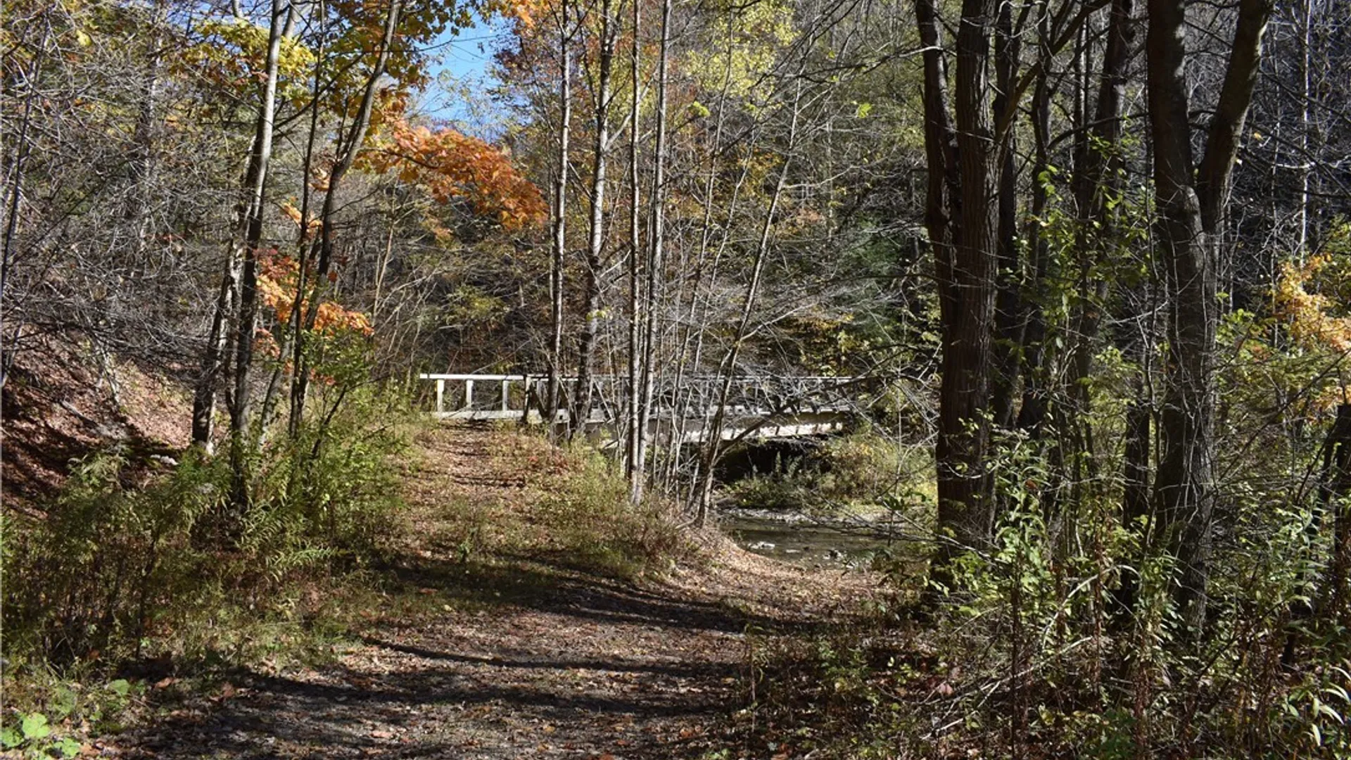 Property at 3157 Ball Road Gulf, Arkwright, NY 14063 28