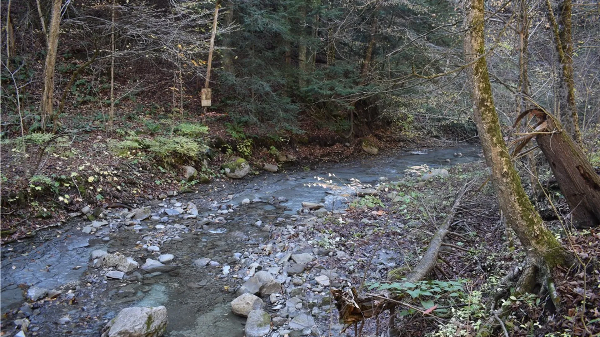 Property at 3157 Ball Road Gulf, Arkwright, NY 14063 5