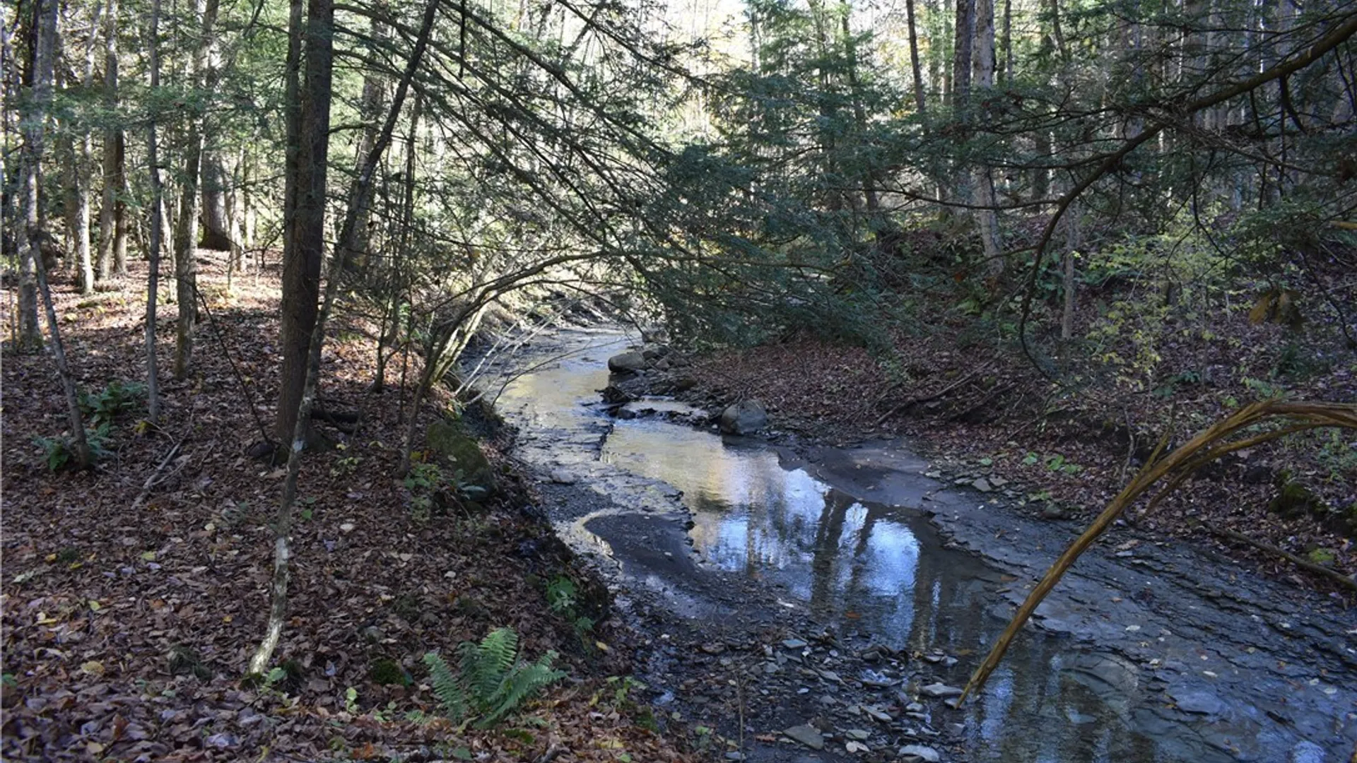 Property at 3157 Ball Road Gulf, Arkwright, NY 14063 6