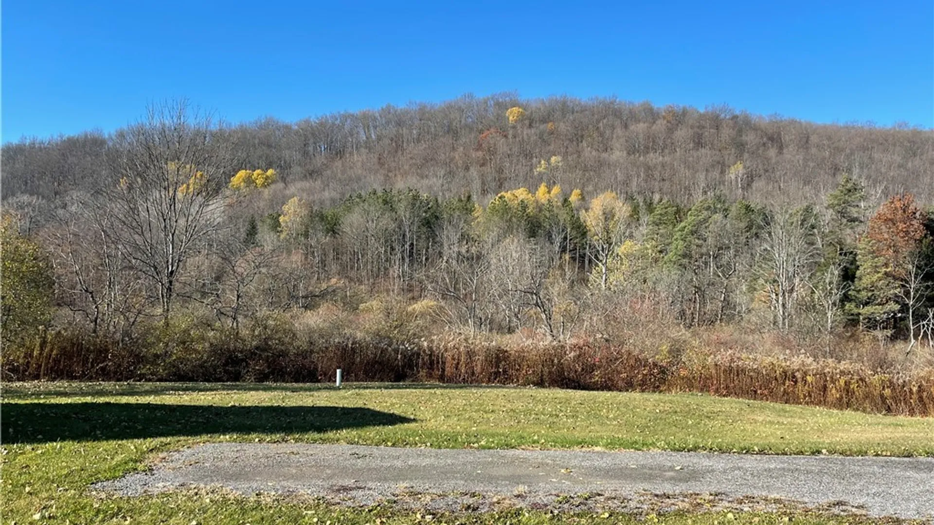 Property at 4464 Route 98, Franklinville, NY 14737 4