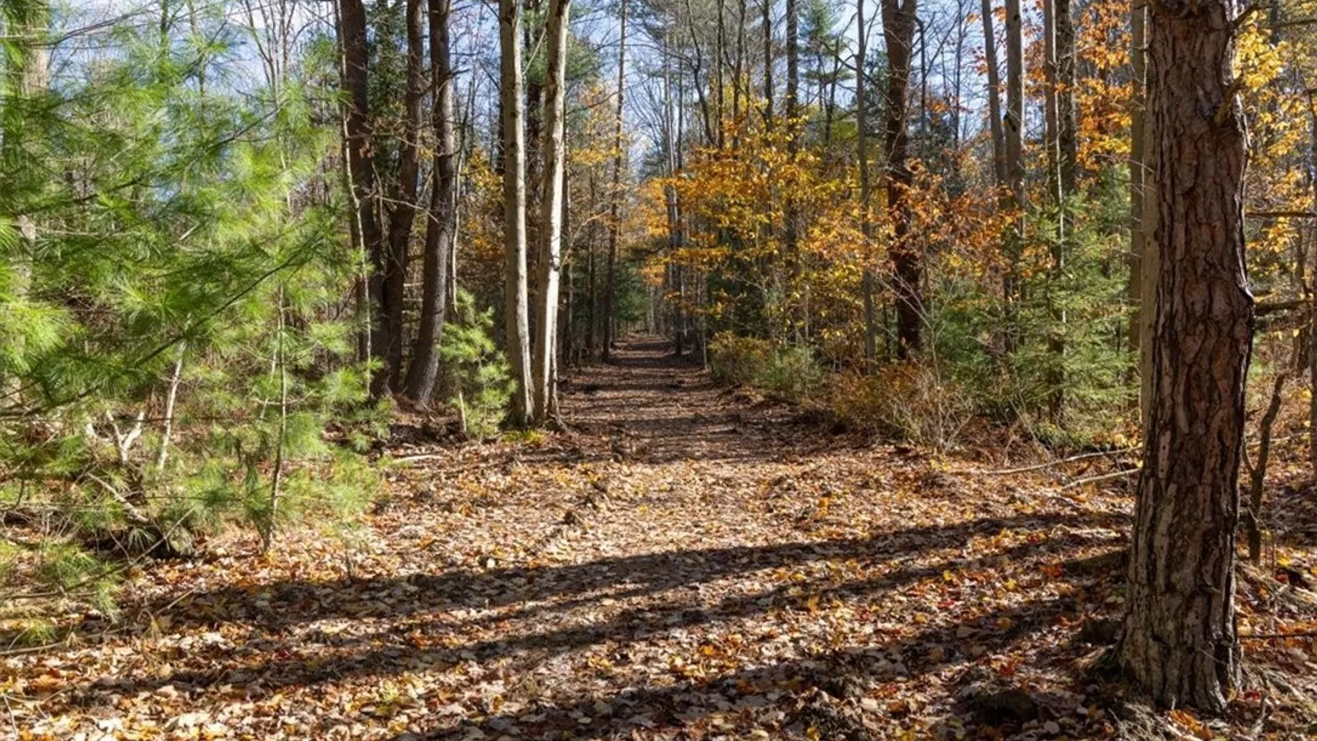 Property at 9881+9937 Larkin Road, Eden, NY 14057 10