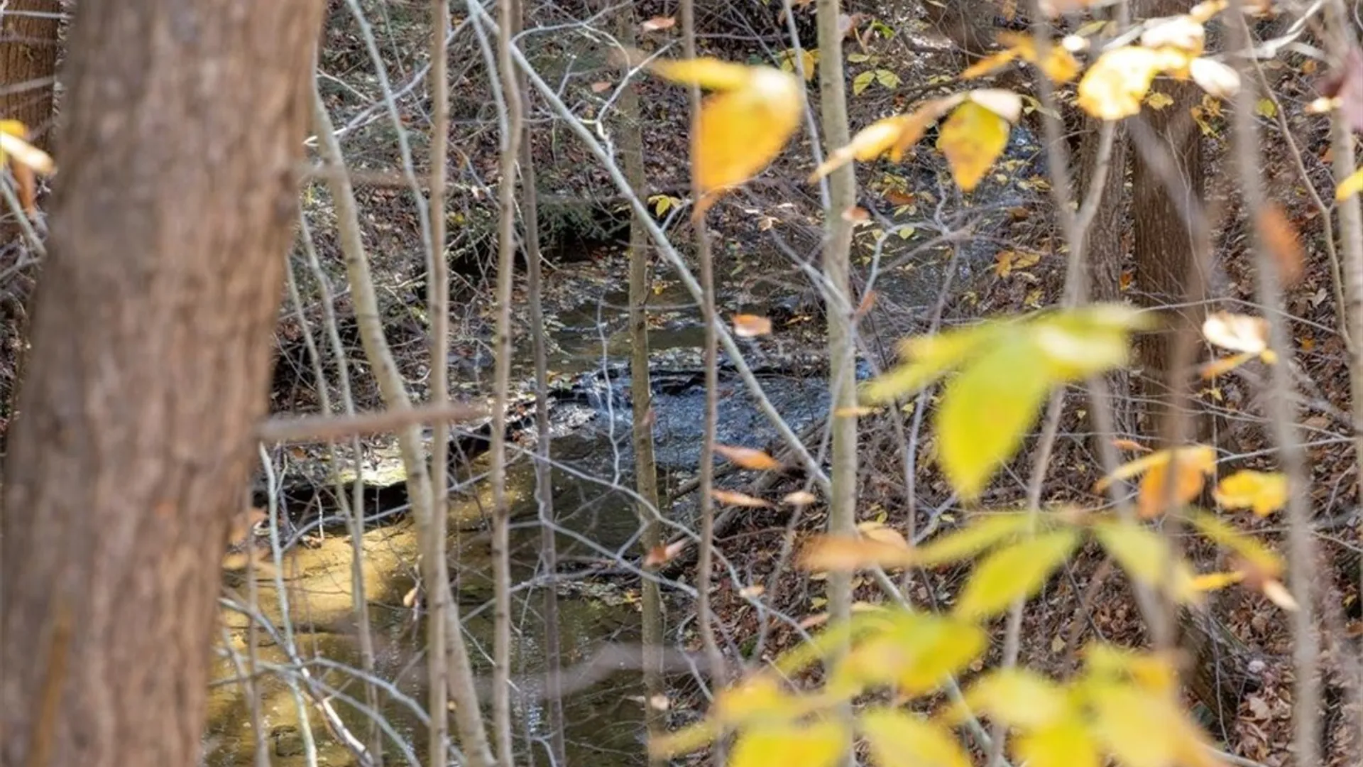 Property at 9881+9937 Larkin Road, Eden, NY 14057 14