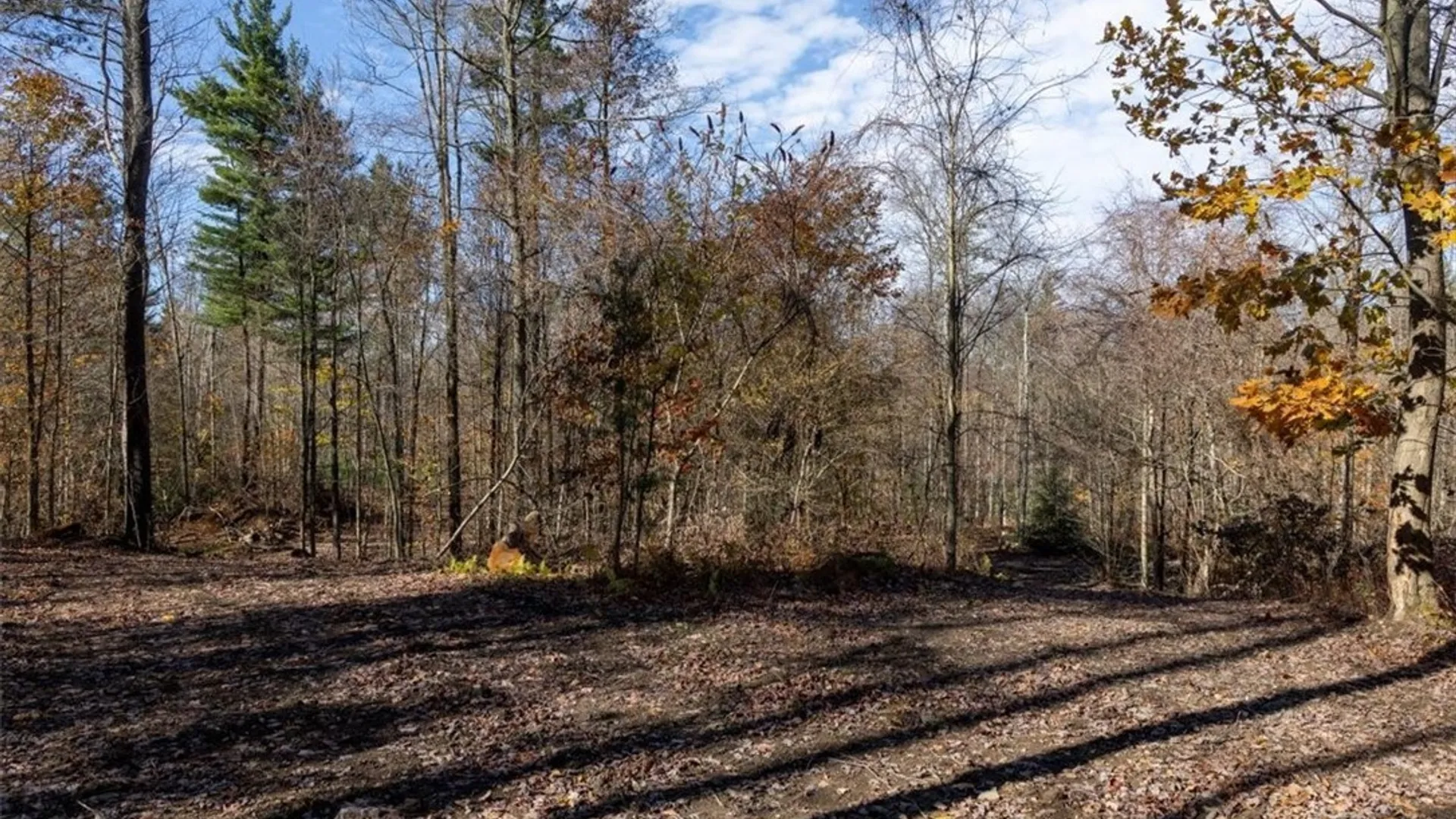 Property at 9881+9937 Larkin Road, Eden, NY 14057 15