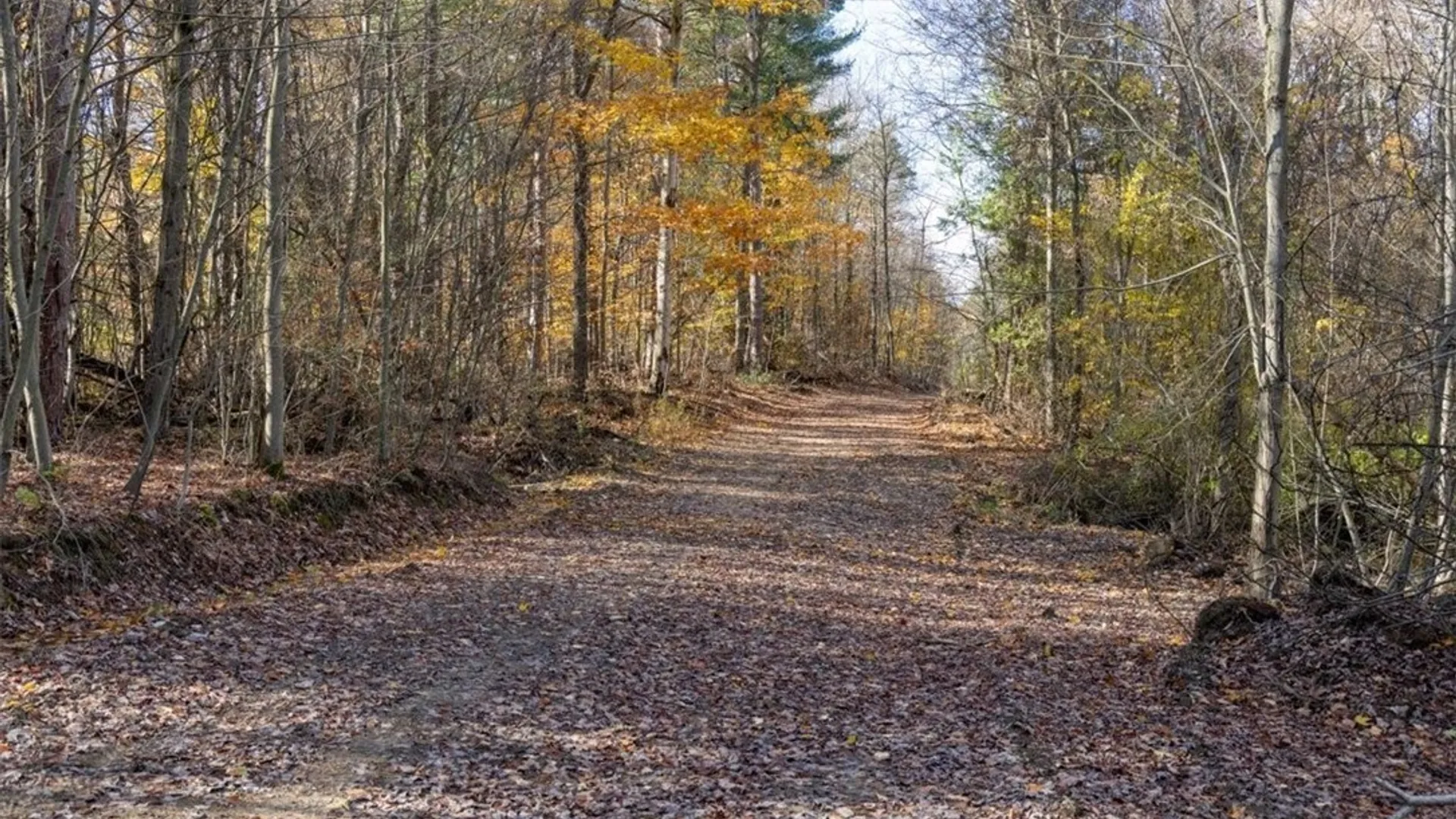 Property at 9881+9937 Larkin Road, Eden, NY 14057 19