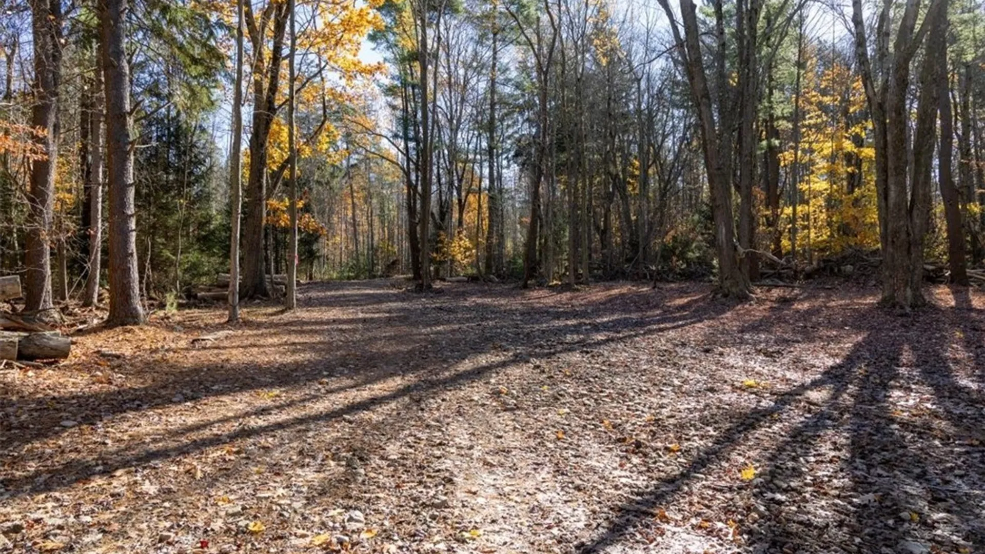 Property at 9881+9937 Larkin Road, Eden, NY 14057 2