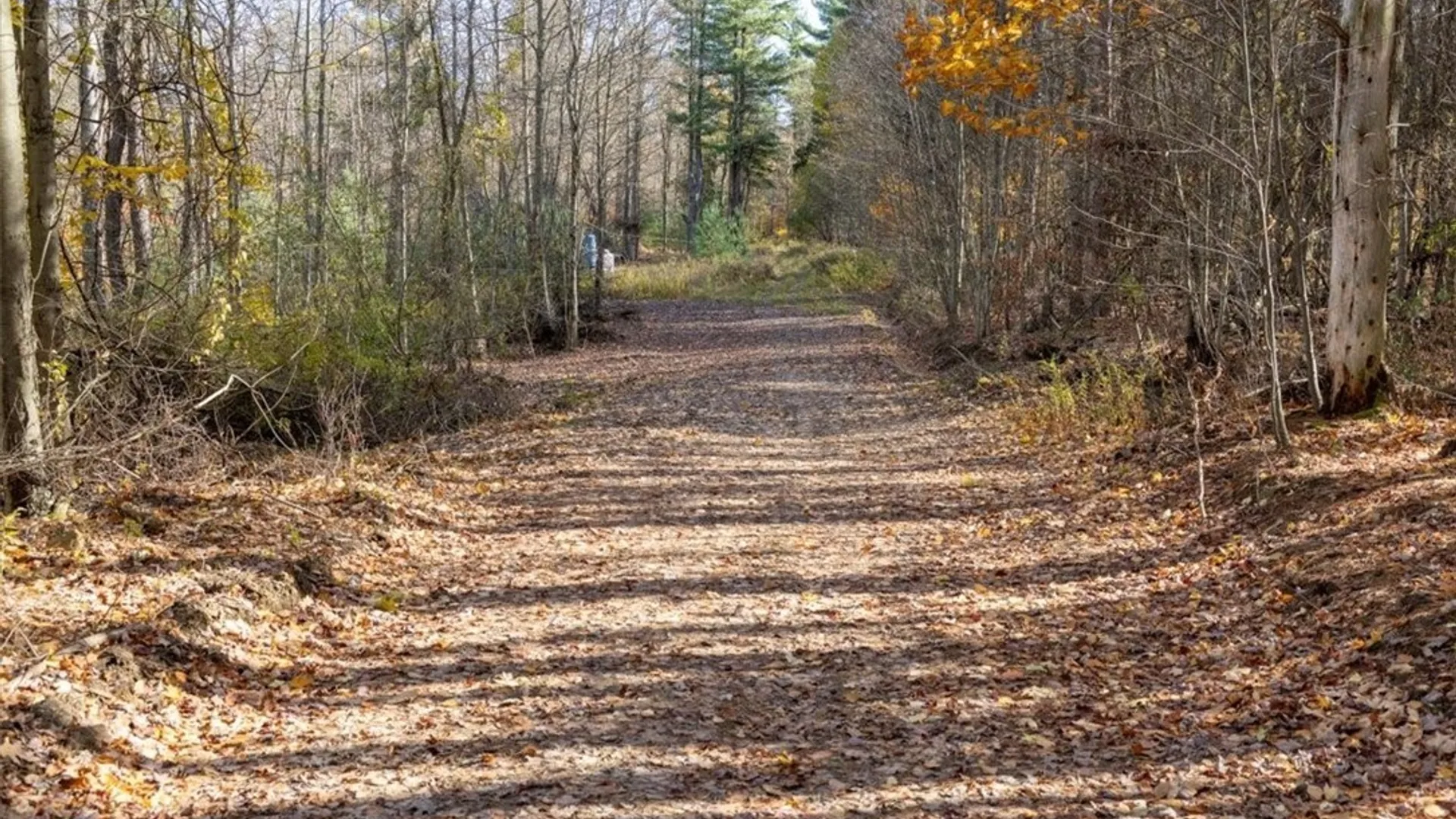 Property at 9881+9937 Larkin Road, Eden, NY 14057 20